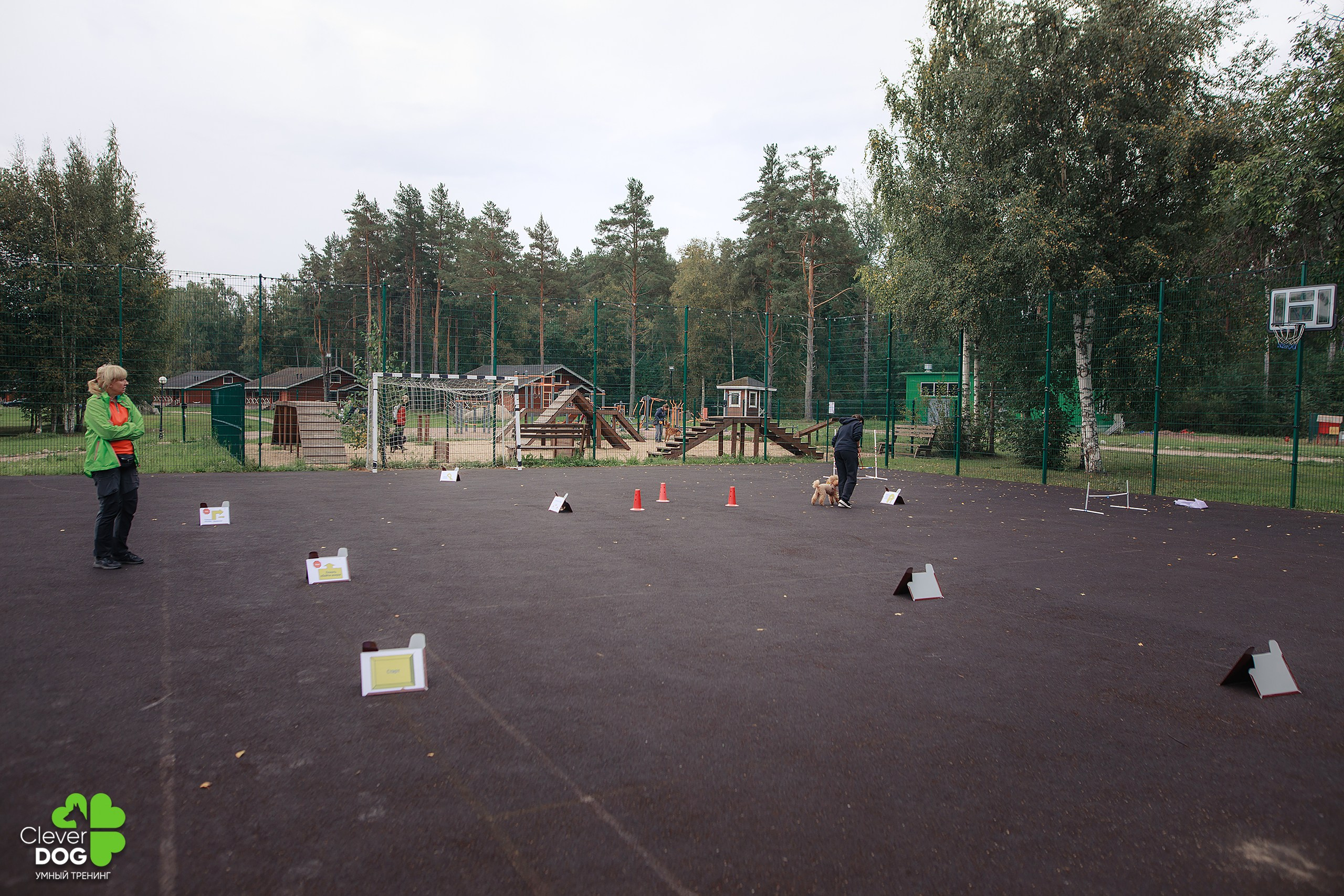 Кинологический лагерь CleverDog, 2024. Фотограф-анималист Mary Mart — Москва, Питер