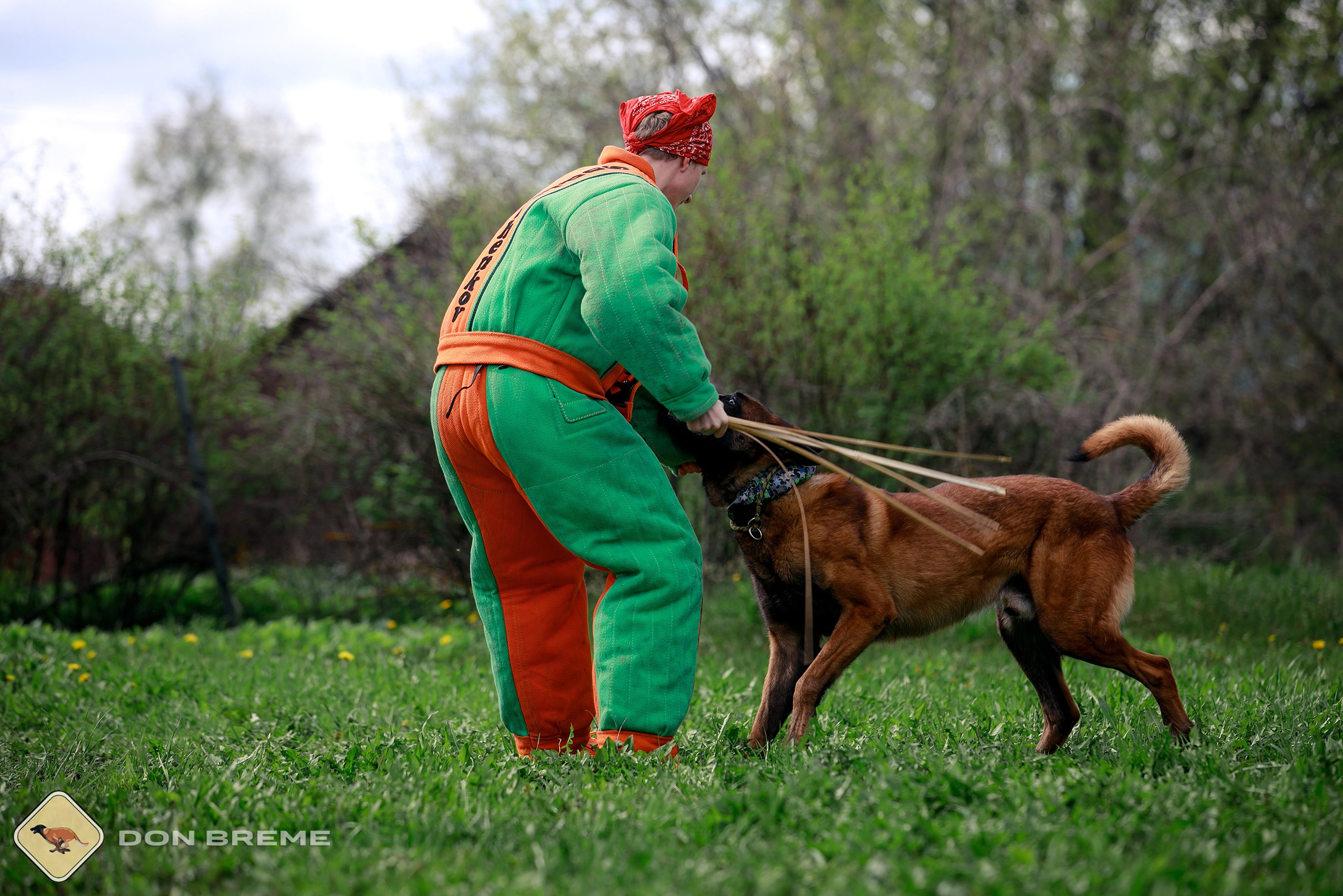 Семинар для фигурантов, день 2. Фотограф-анималист Mary Mart — Москва, Питер