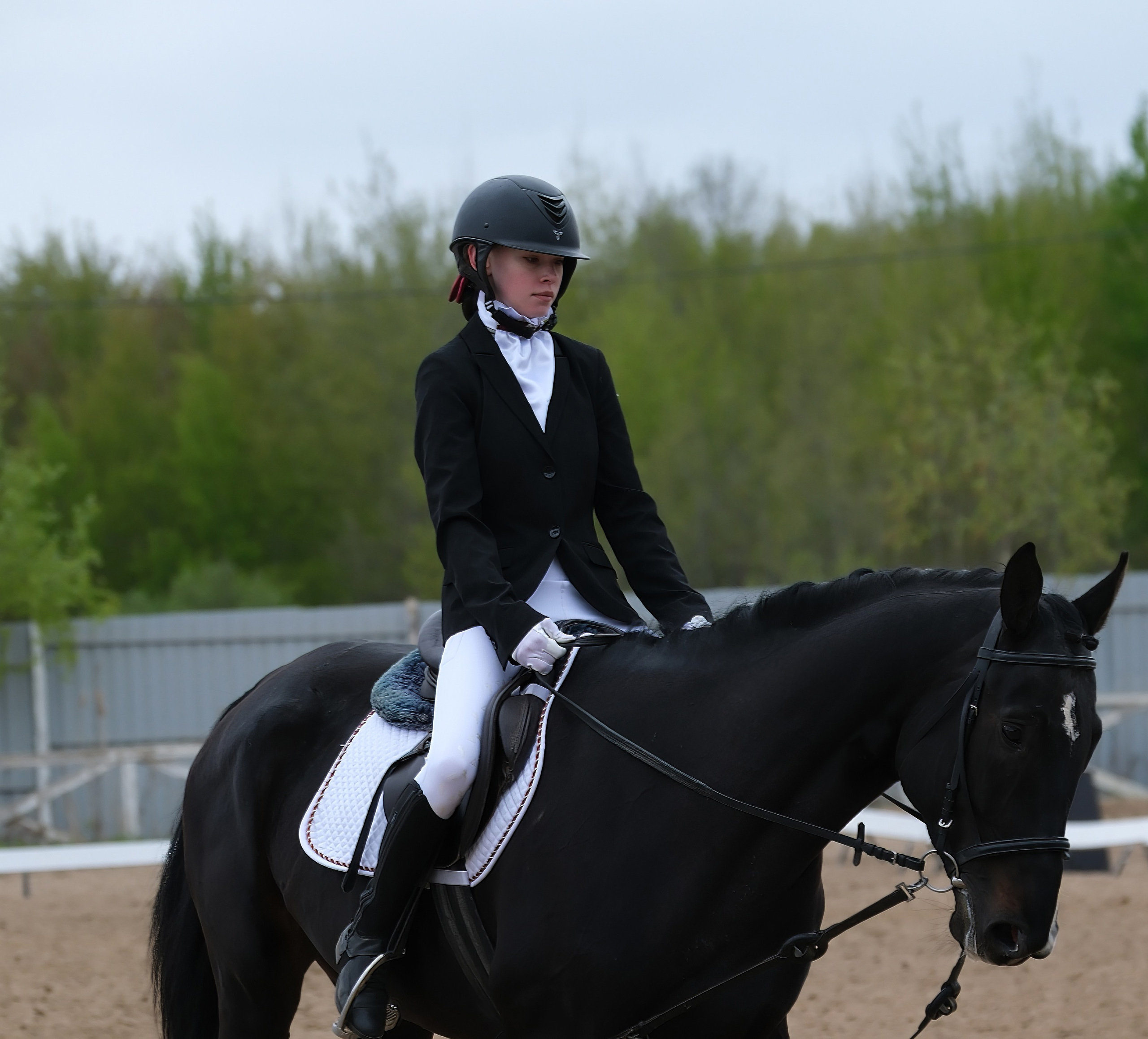 Соревнования по конному спорту в КСК «АЛЛЮР»!. Добро пожаловать в студию «Цифровой скульптор»  где искусство встречается с технологиями!