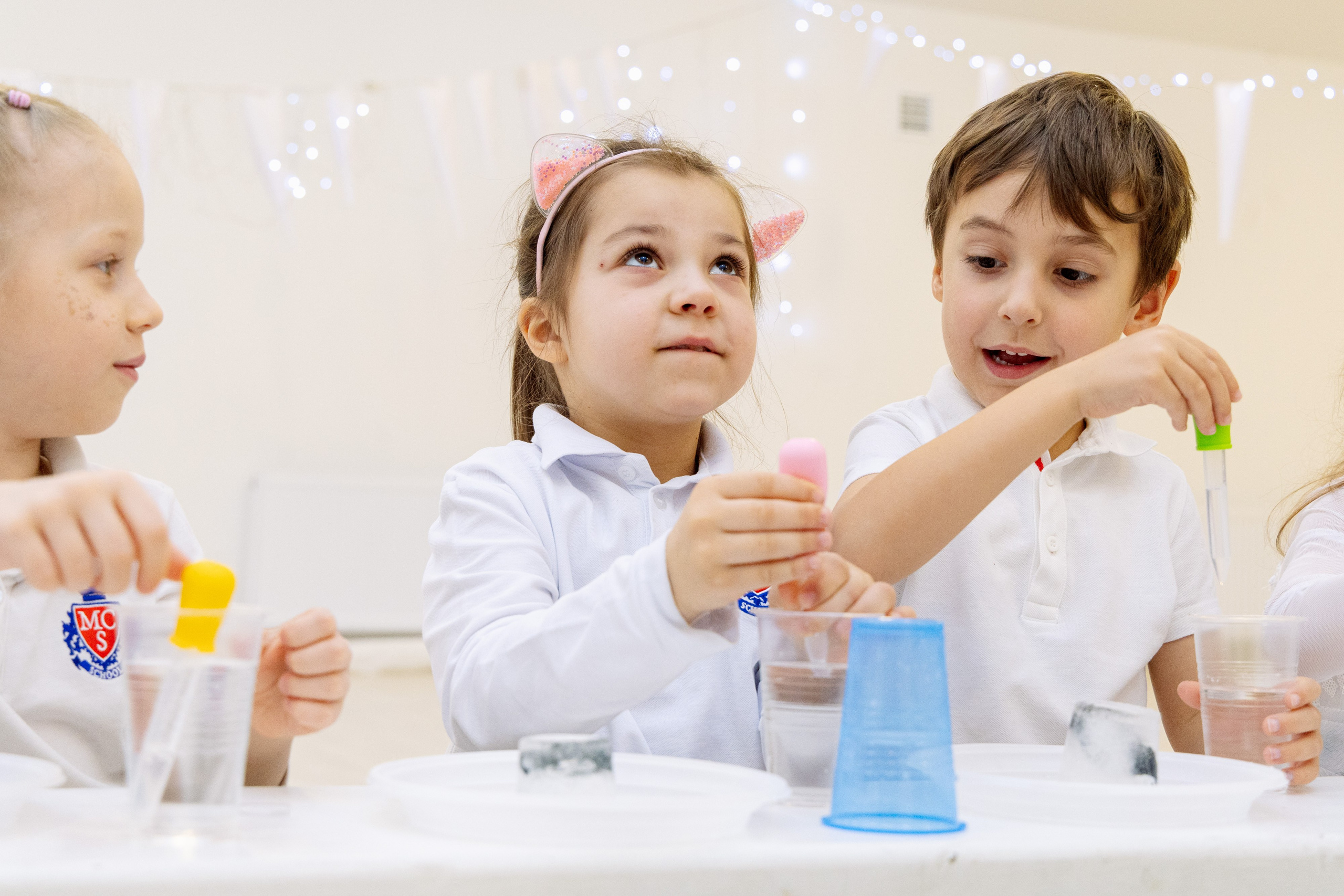 Сад и школа