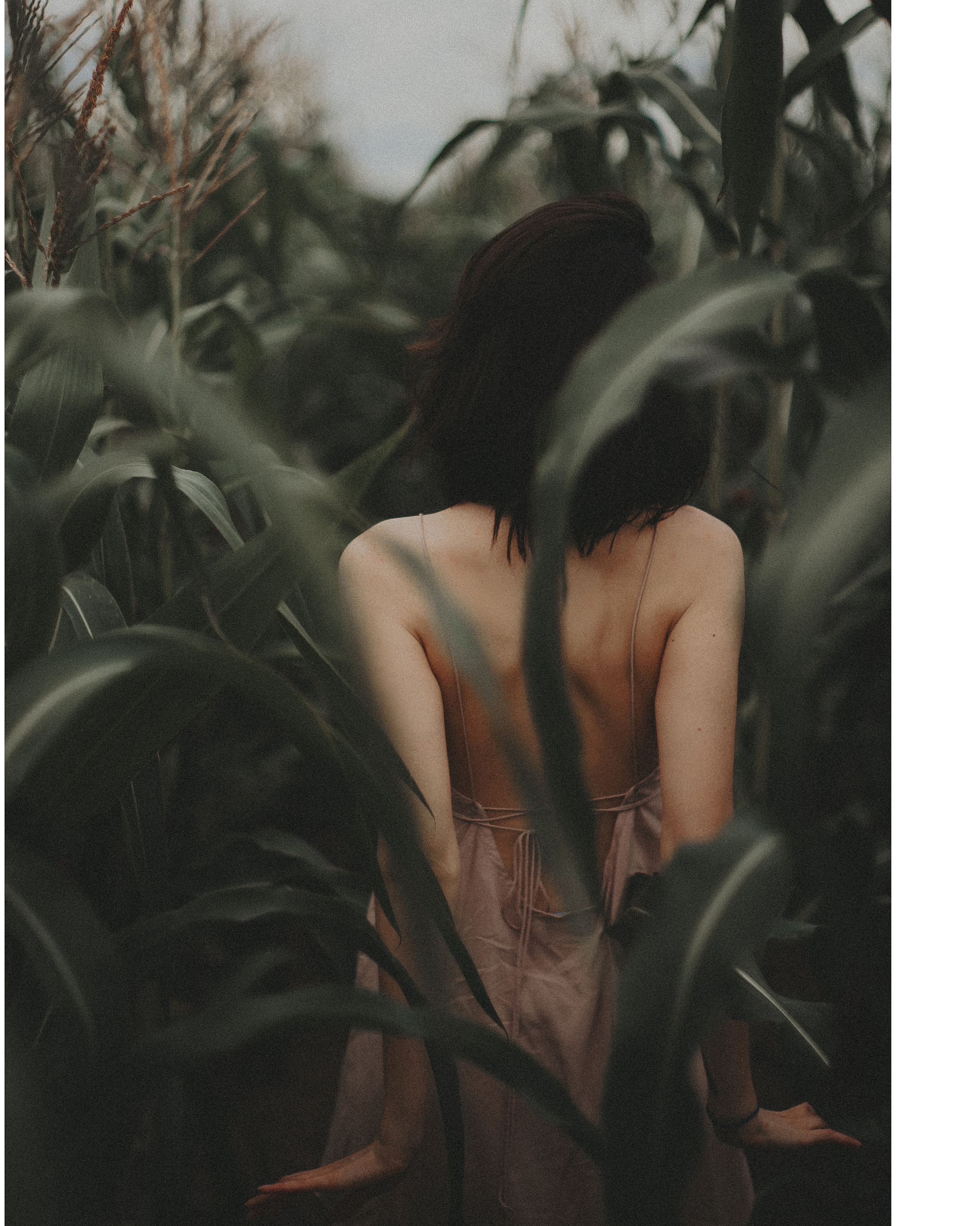 Фотсессия в Московской области в поле