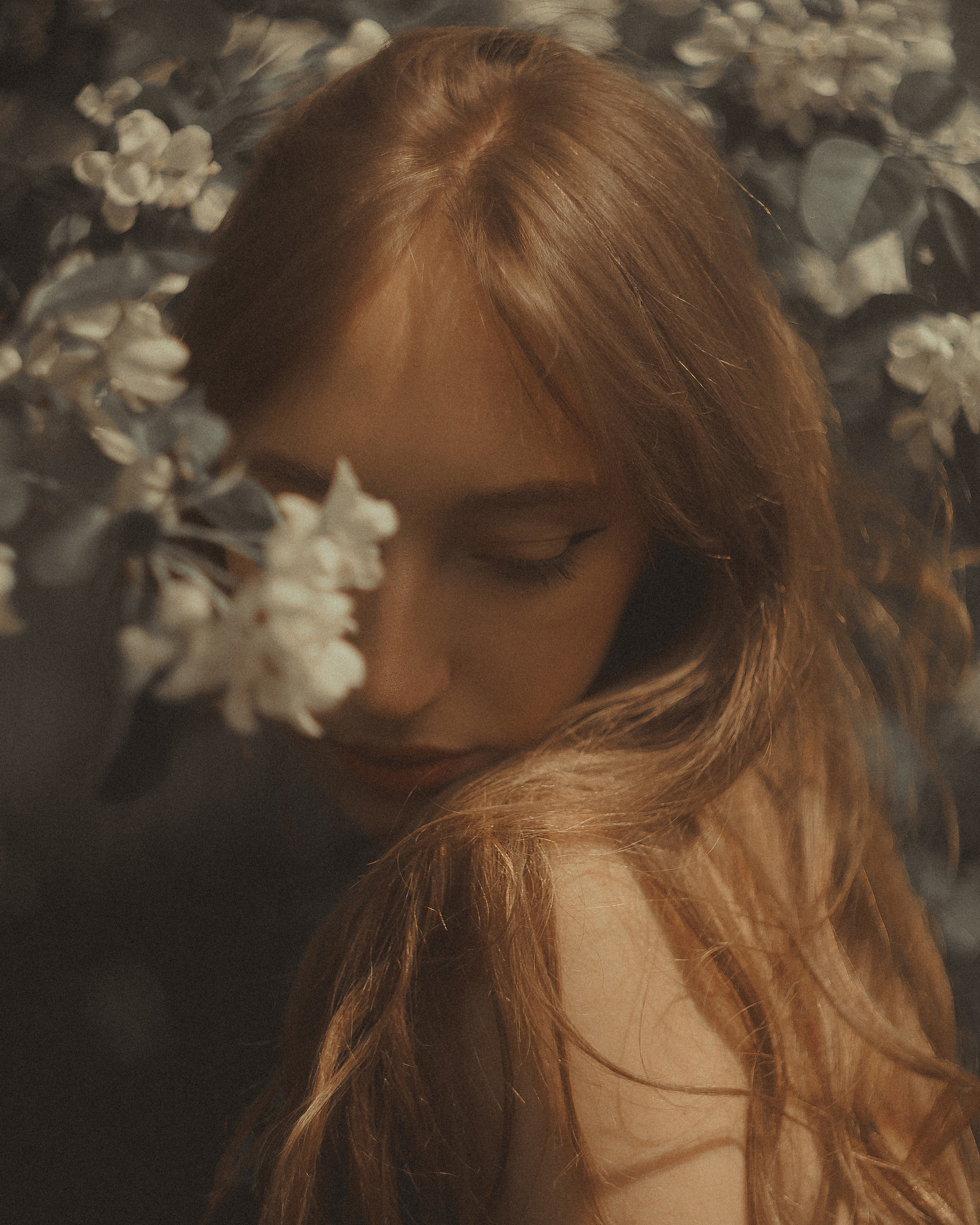 Фотосъёмка в цветении в парке. Таврический сад