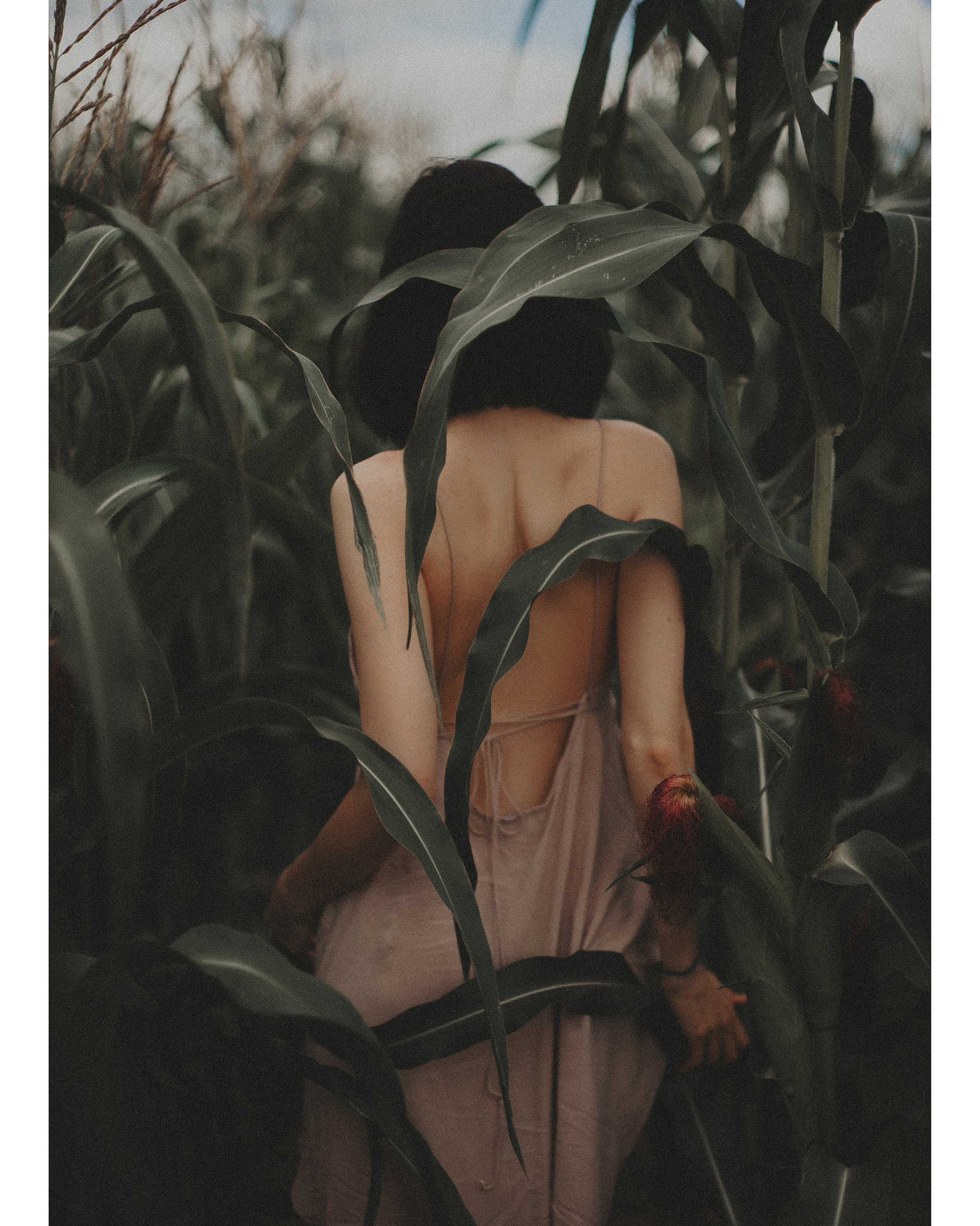 Фотсессия в Московской области в поле