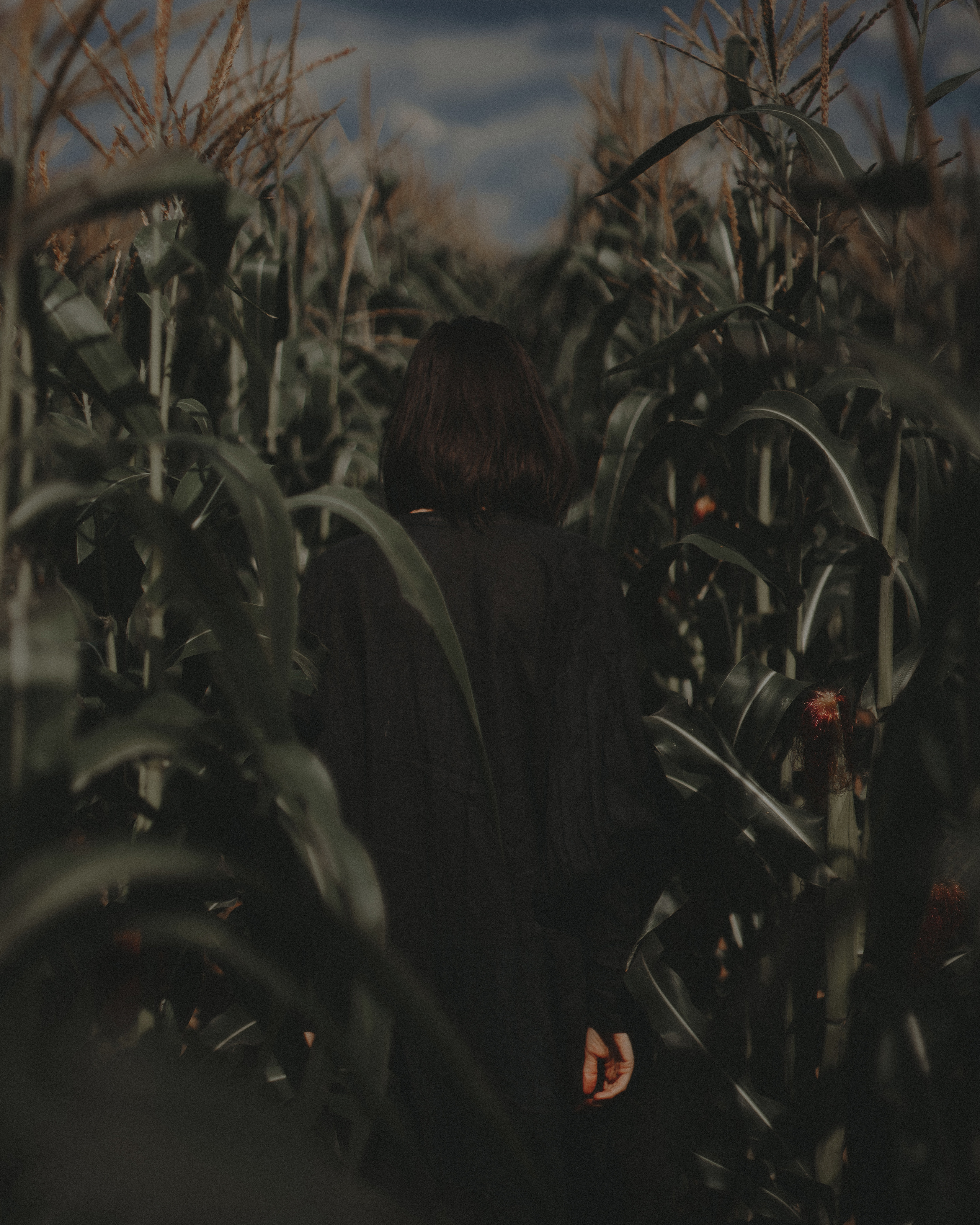 Фотсессия в Московской области в поле