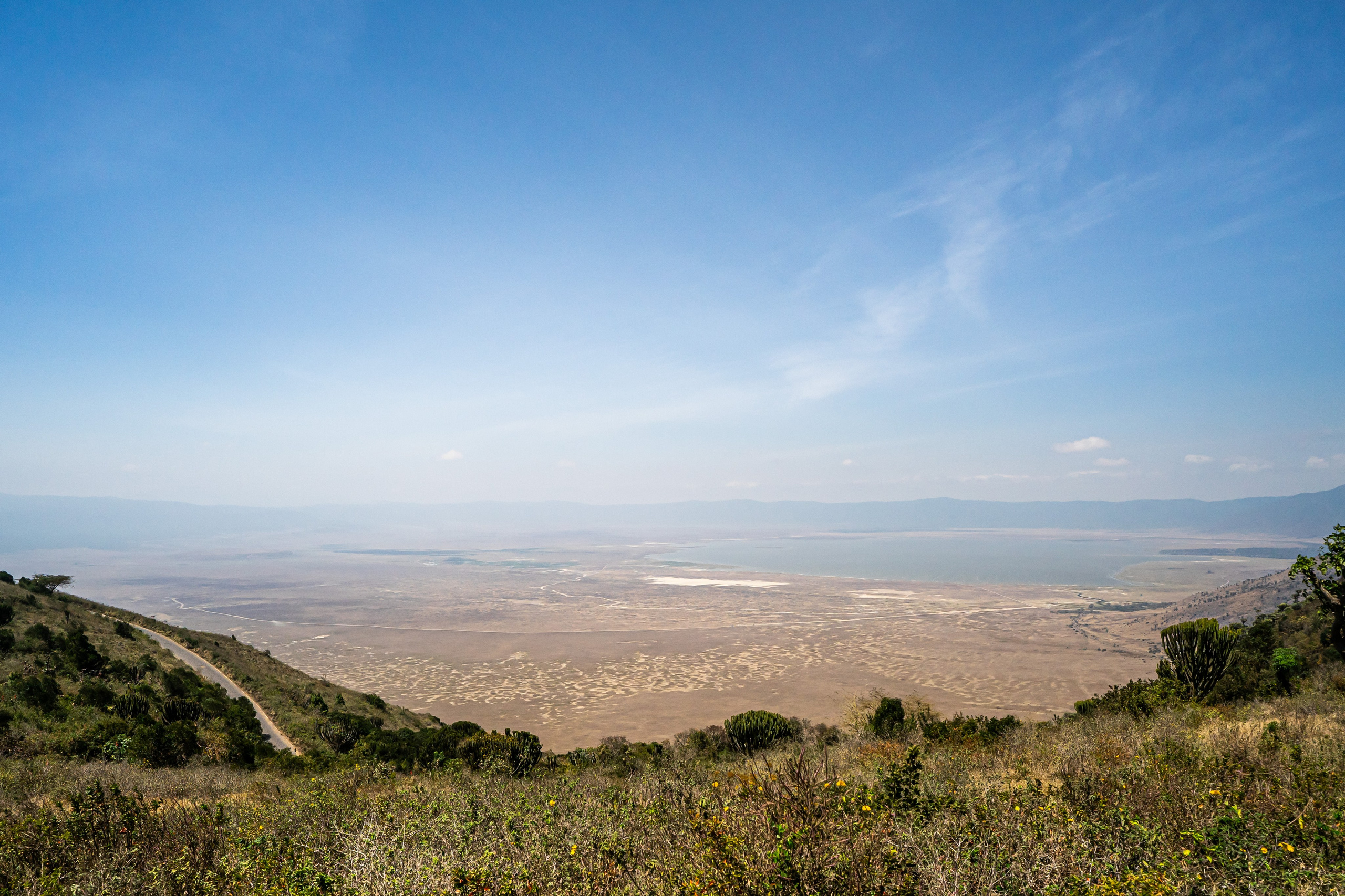 Танзания, сафари, 2025. Творческие сьемки