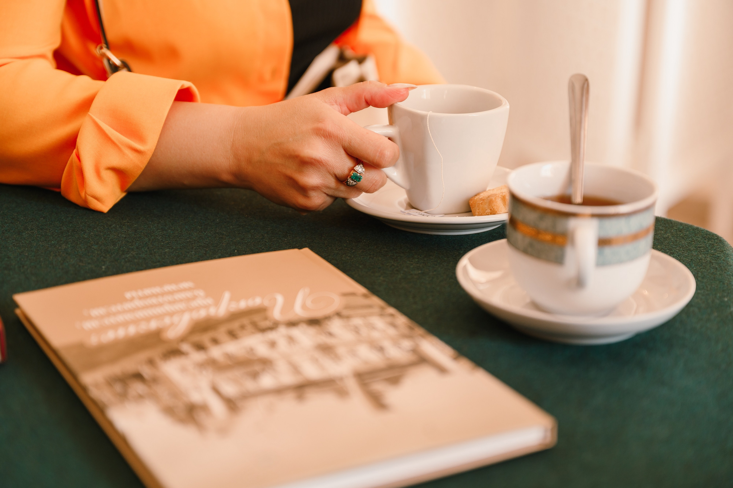 «Евгений Онегин»: лекция в особняке. Wedding and family photographer USA