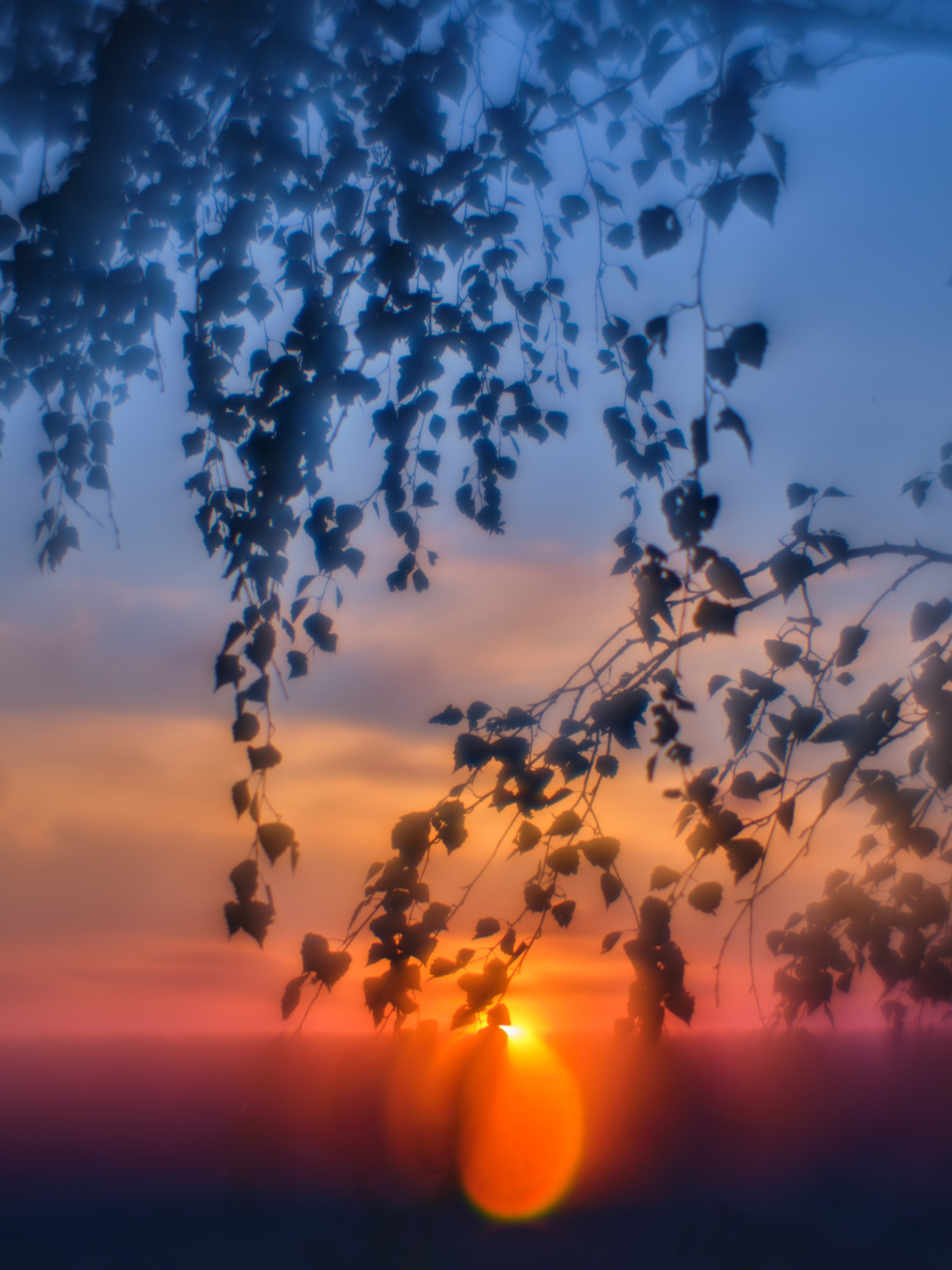 Фотограф Юлия Глазкова