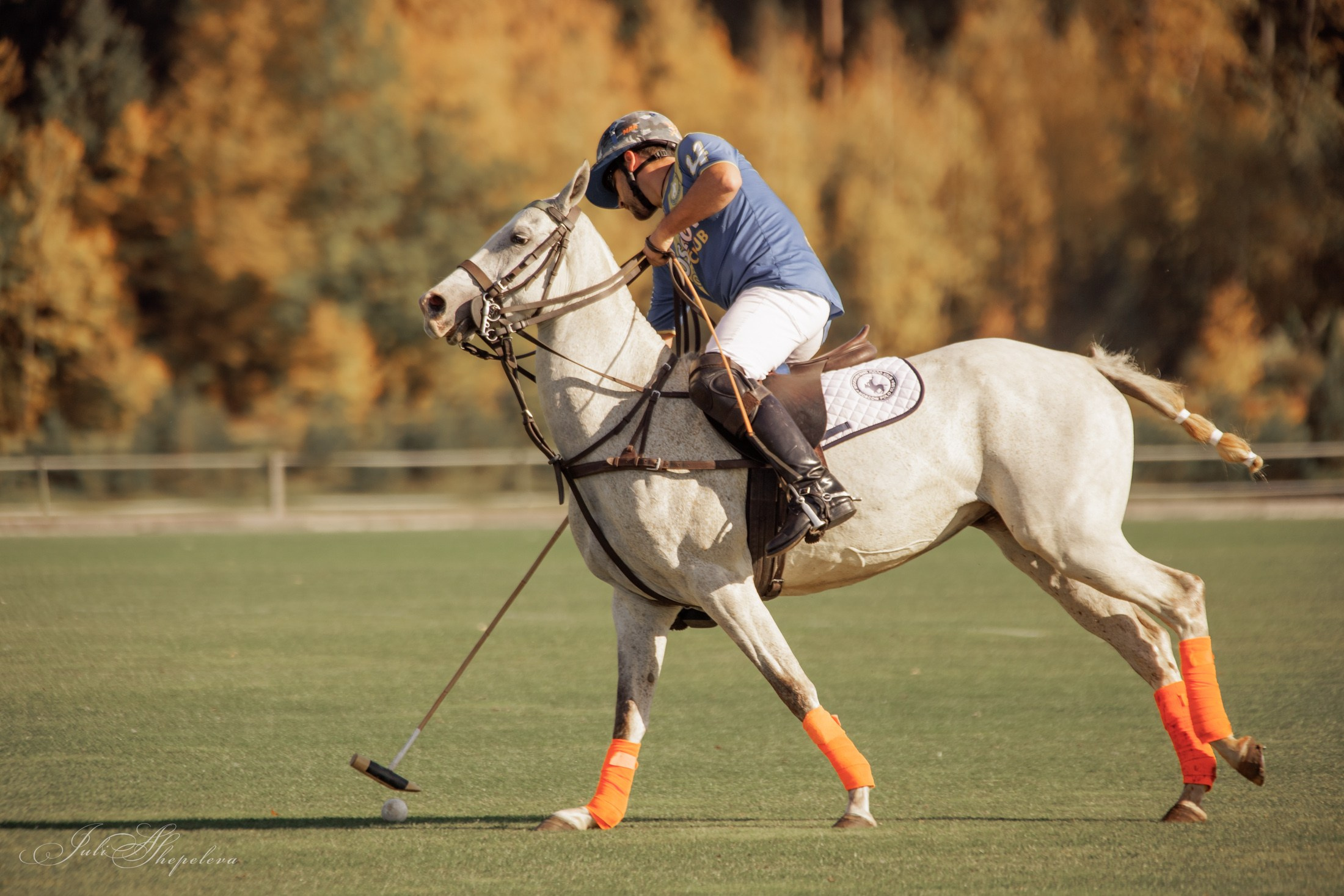 Осенний кубок по конному поло. Детская Конная фотография в Москве Юлия Шепелева