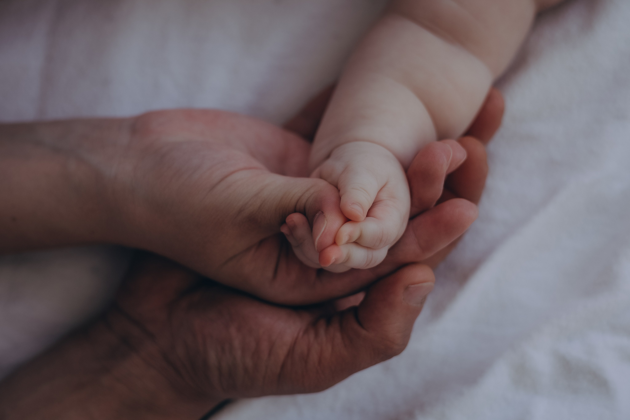 Кирилл, Катя и Варя. Семейный фотограф в Сочи Любовь Переседова