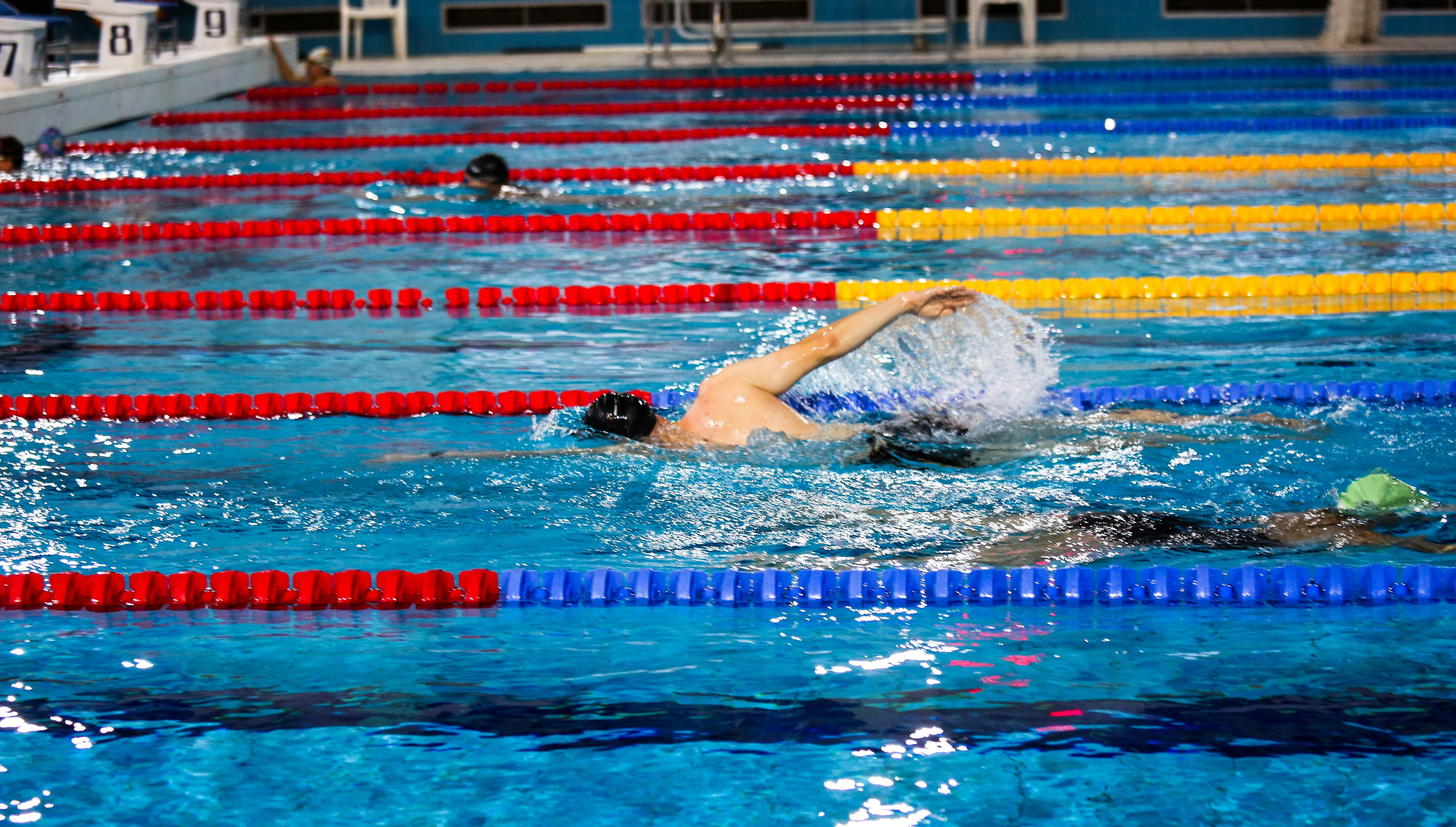 Соревнования по плаванию. Репортажный, семейный, свадебный, портретный фотограф