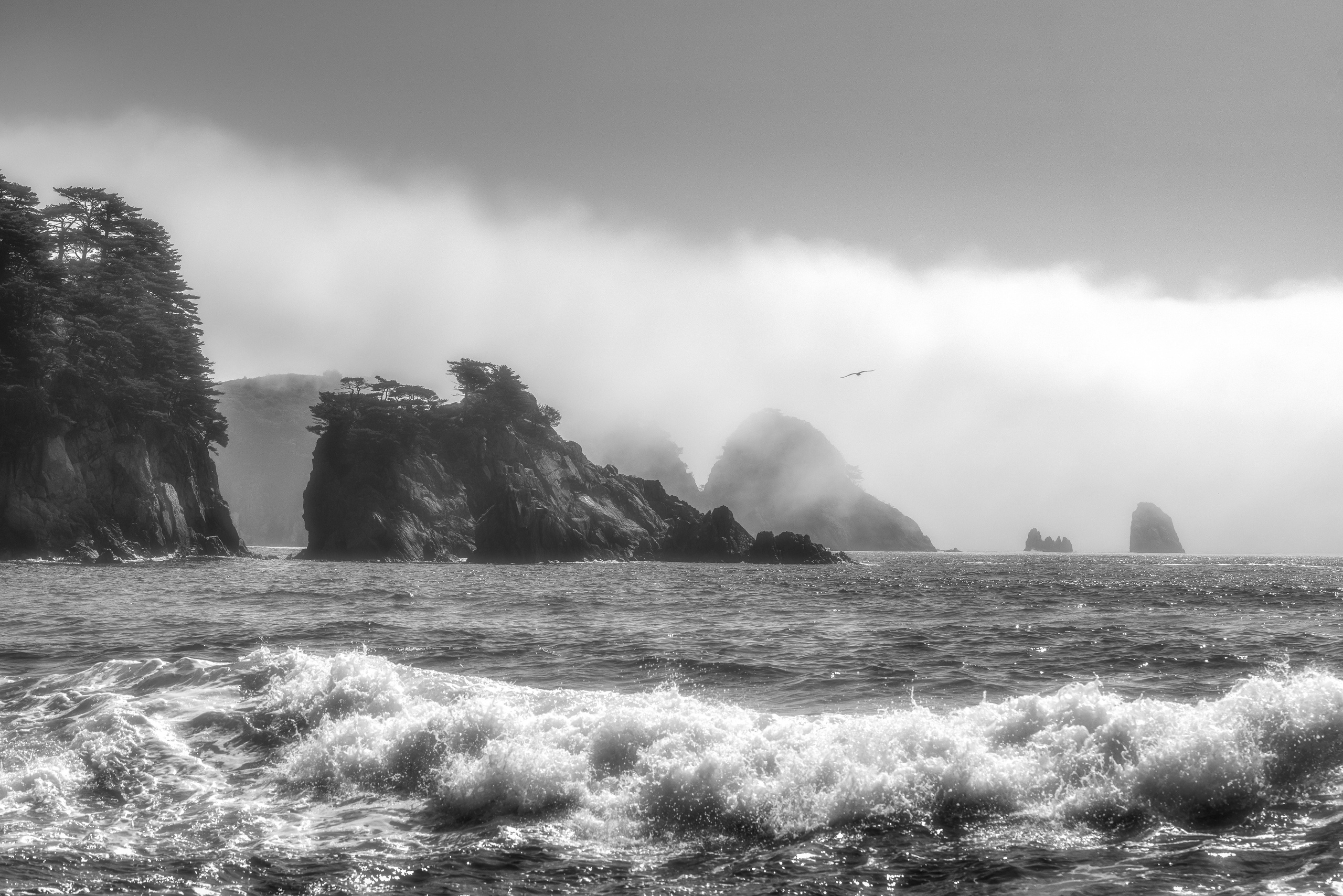 Весеннее Приморье. Май