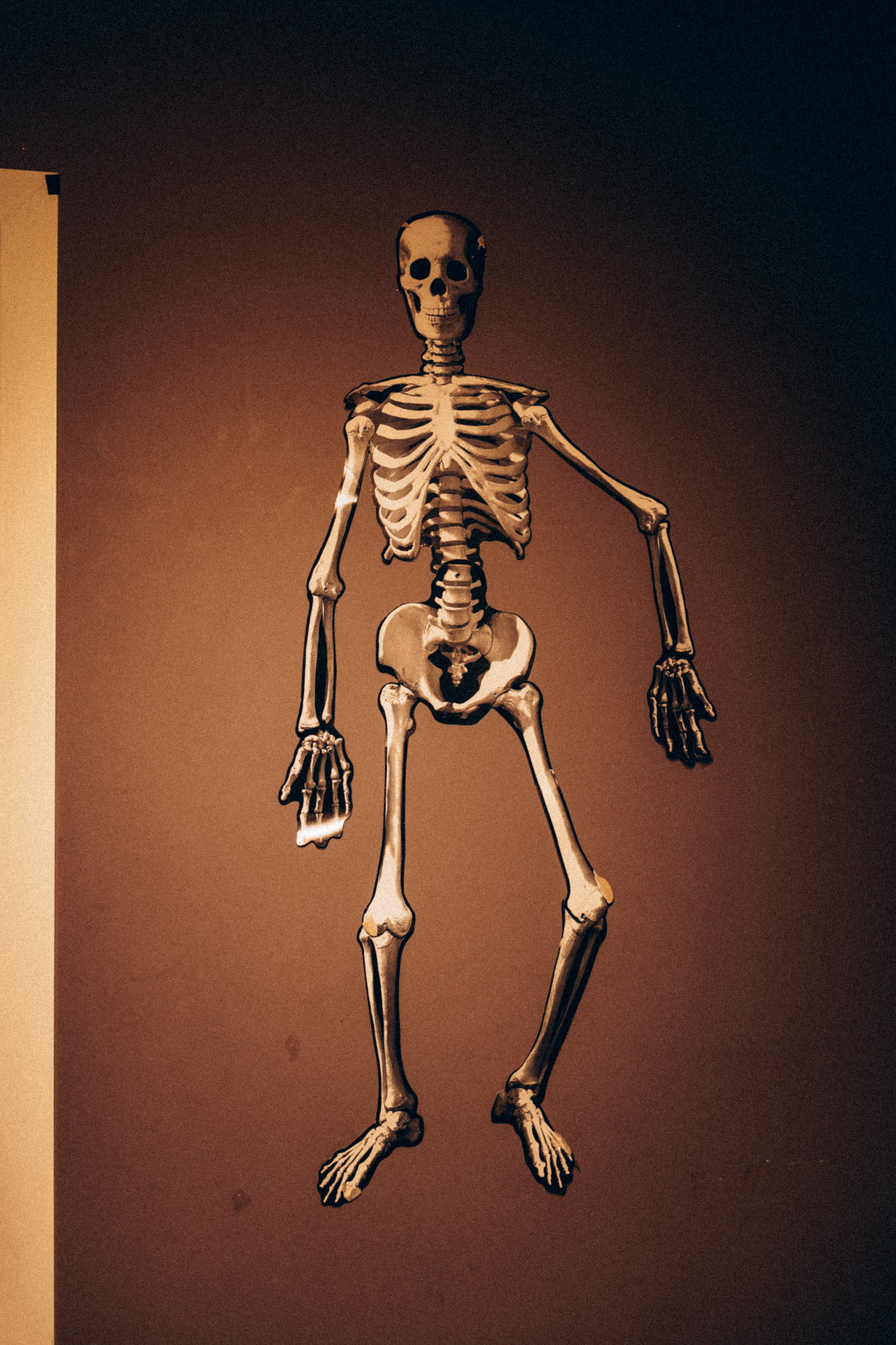 Съёмка корпоратива. Фотограф Москва Таша Панина