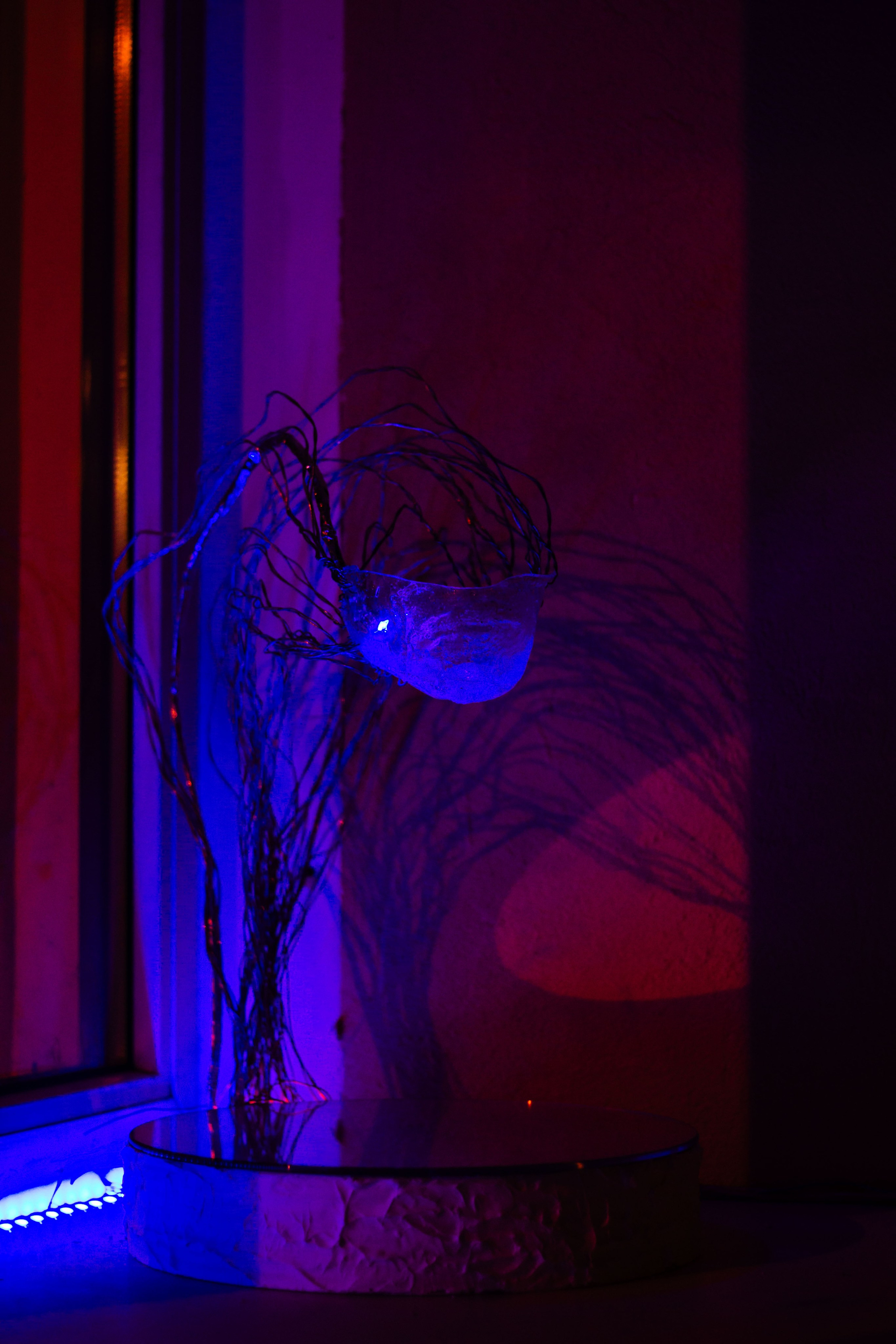 Бильярдная «Крученых» некрореализм. Юля Мурашова портретный и документальный фотограф