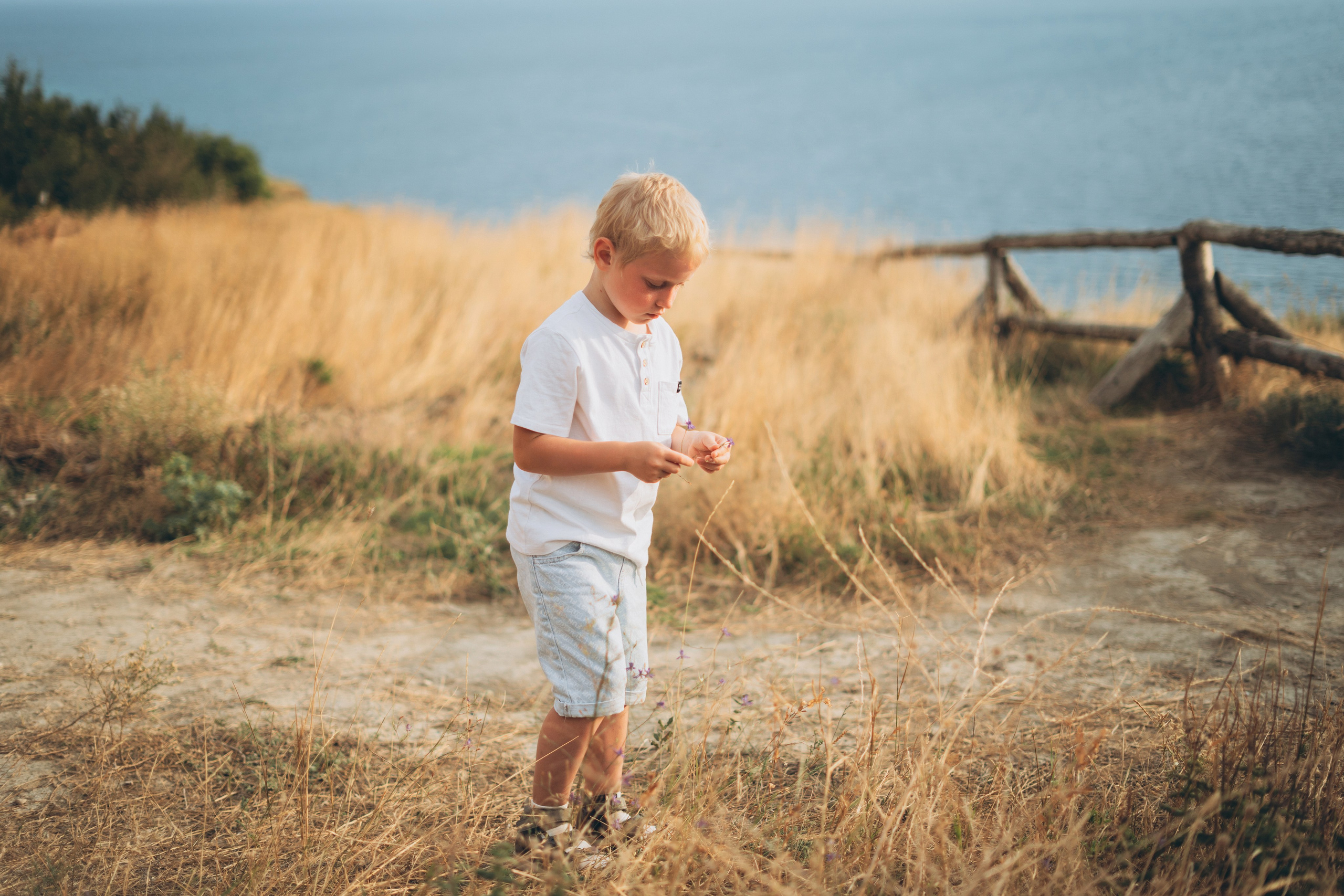 Геленджикский фотограф поймал момент восторга - дети обнаружили стаю резвящихся дельфинов, фотограф Геленджик
