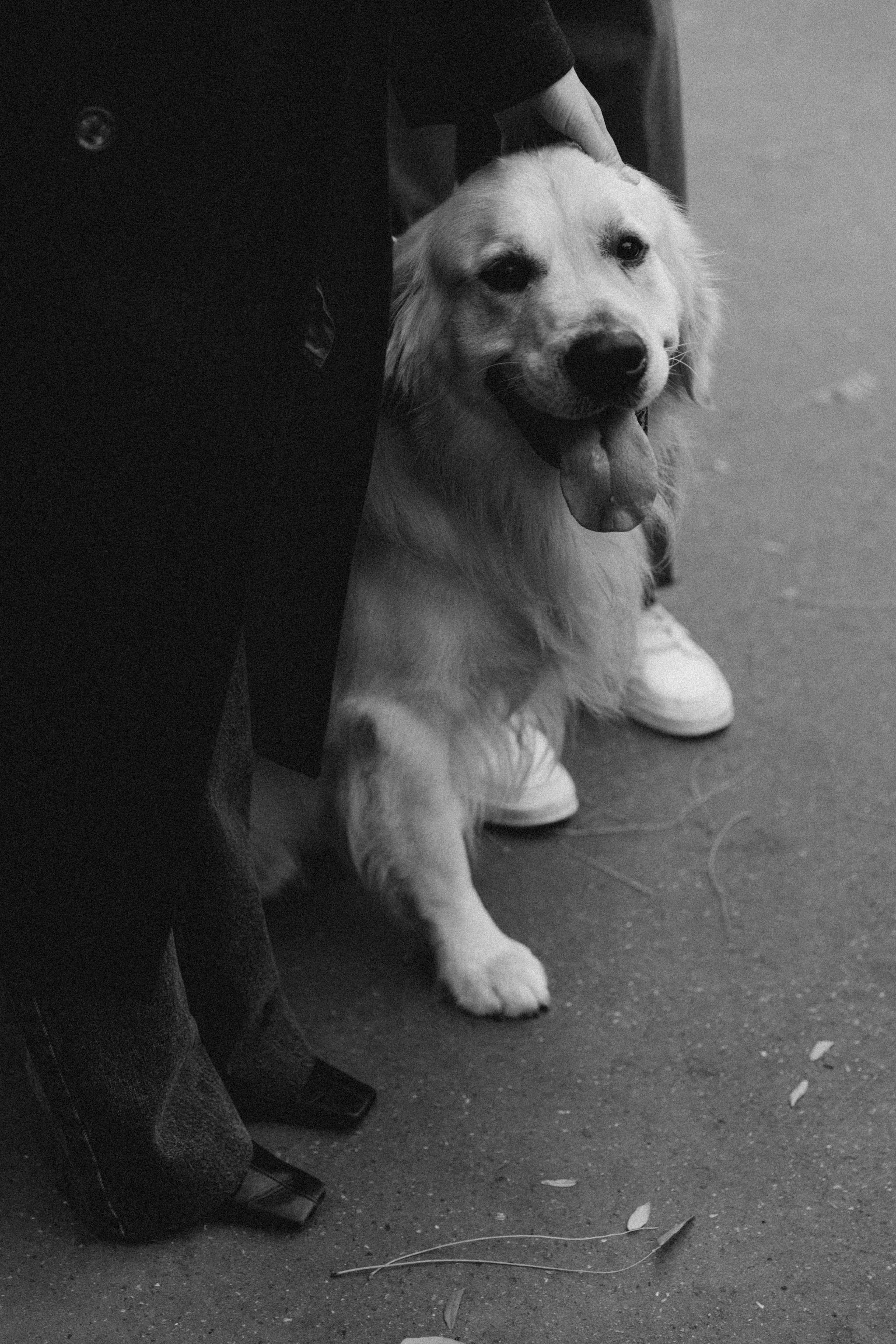 C’est entre nous. Photographe à Paris