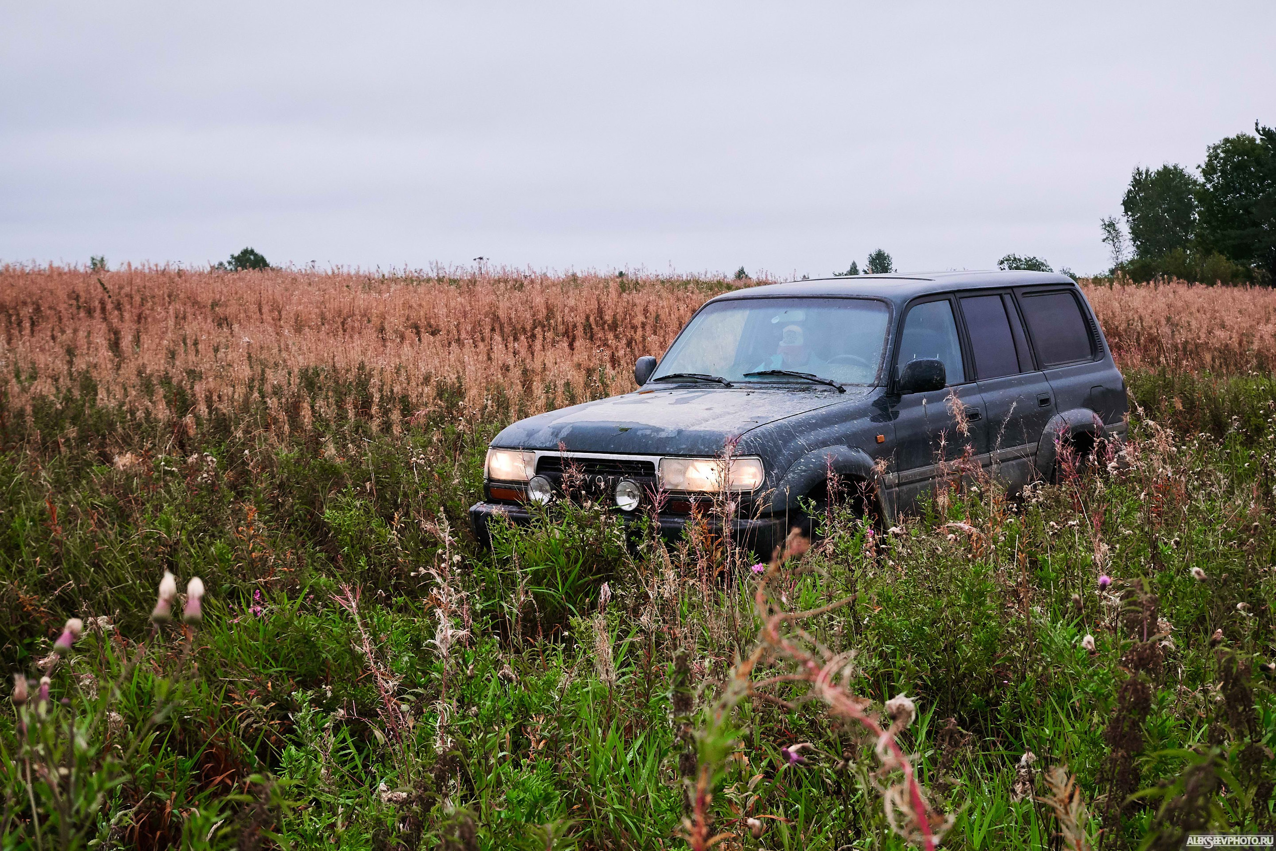 2018.08.25-26 — Братина-трофи. Фотограф Алексей Алексеев