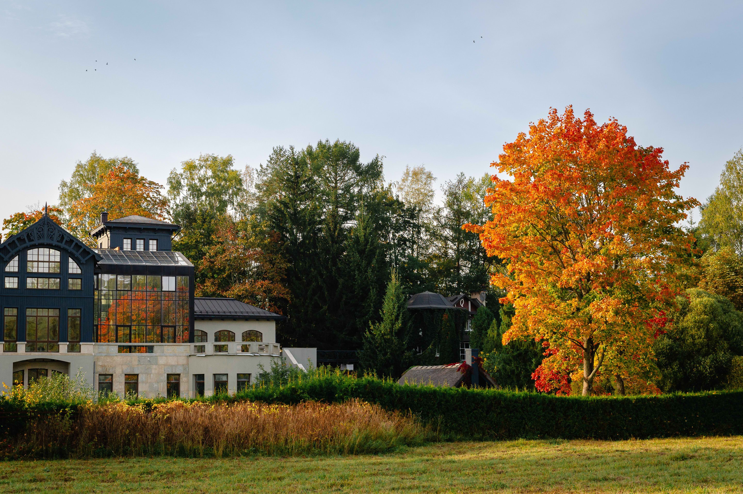 2023.09. Фотограф Алексей Алексеев