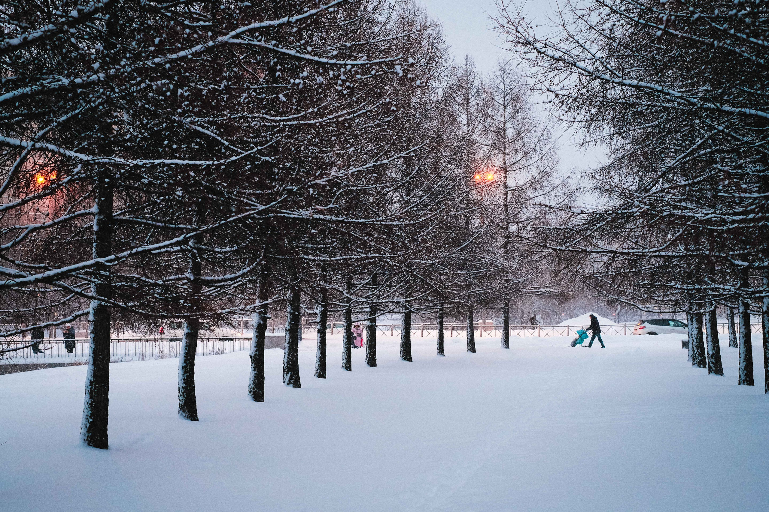 2021.12. Фотограф Алексей Алексеев