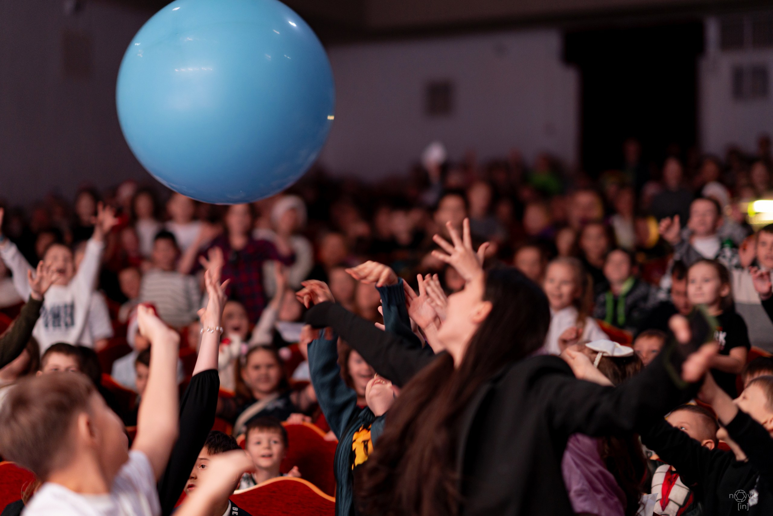 Ёлка. ФОТОГРАФ ИВАН НОВИКОВ | СТАВРОПОЛЬ