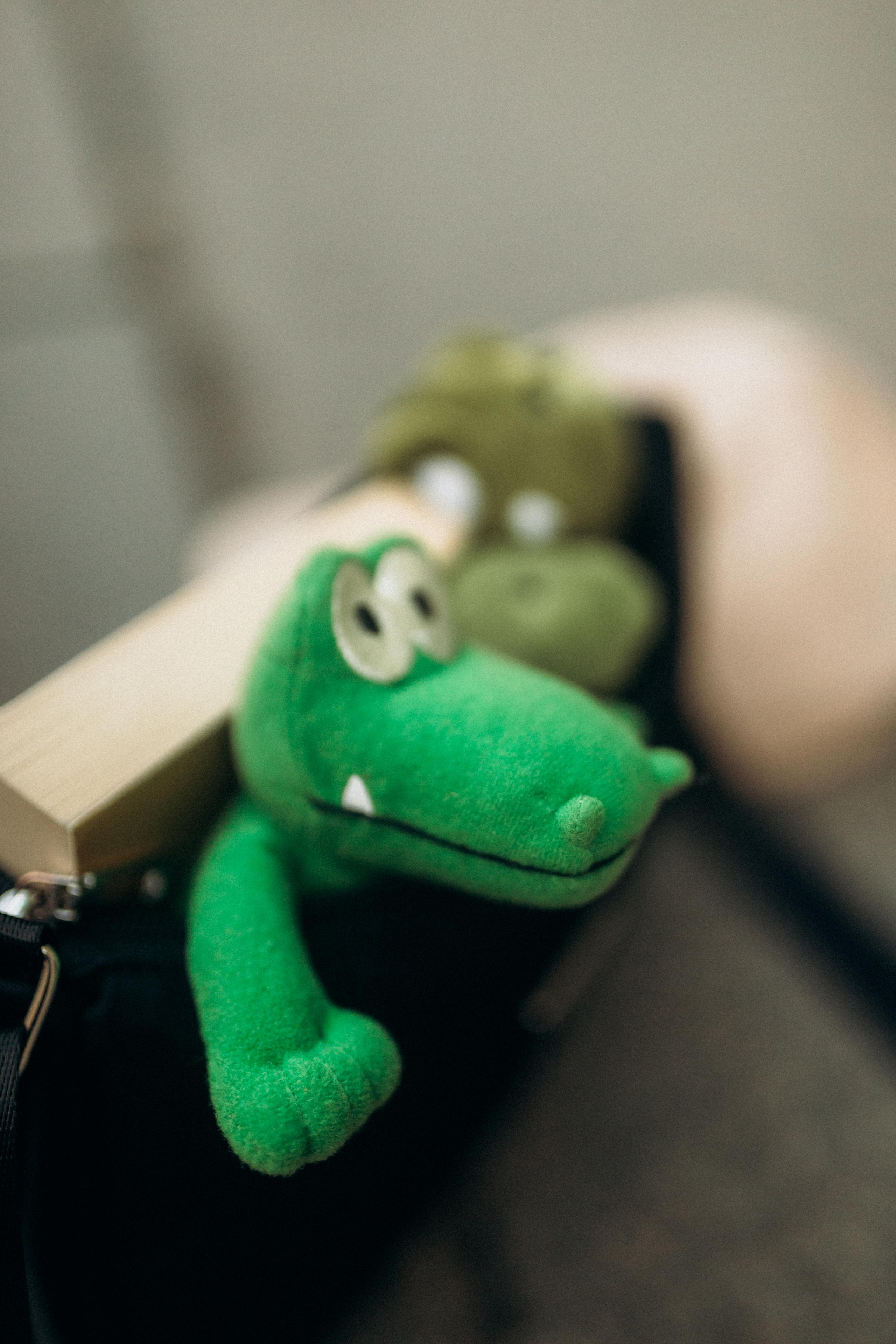 Dino girl. Свадебный фотограф в Санкт-Петербурге Настасья Север