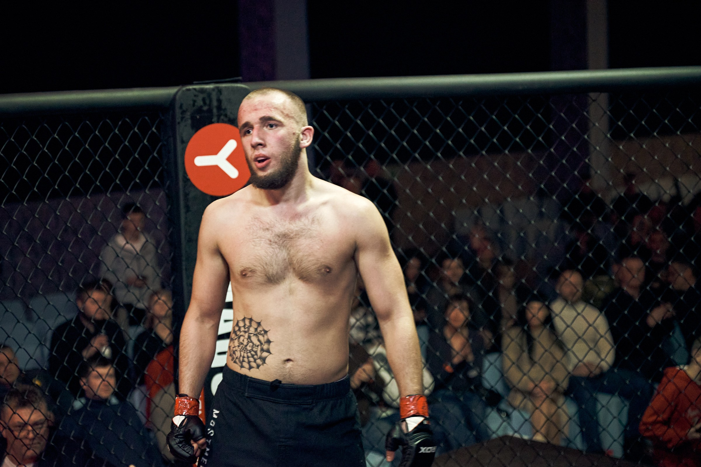 Бои. Маляревич Дмитрий свадебный фотограф