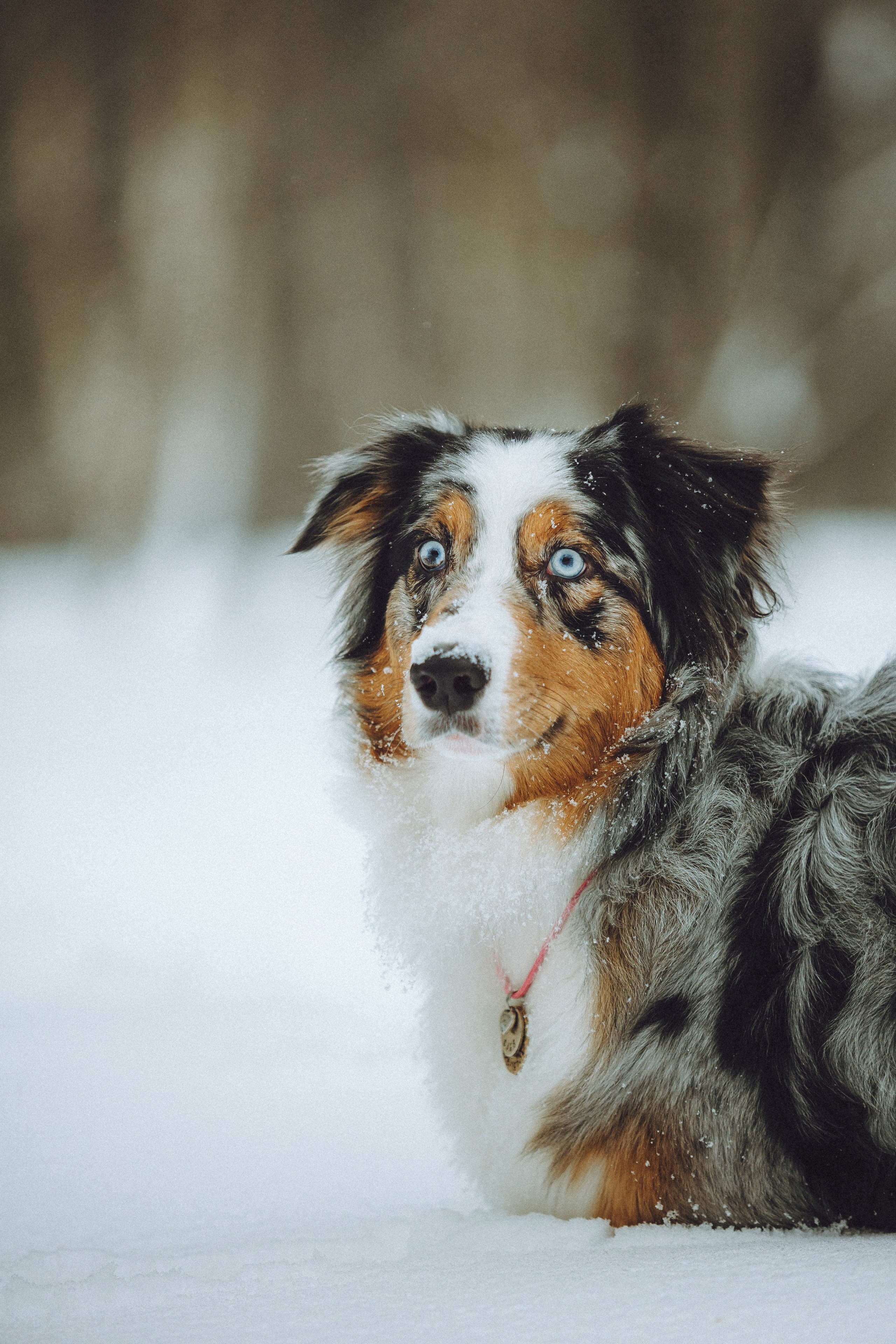 Фаня и ее семья
