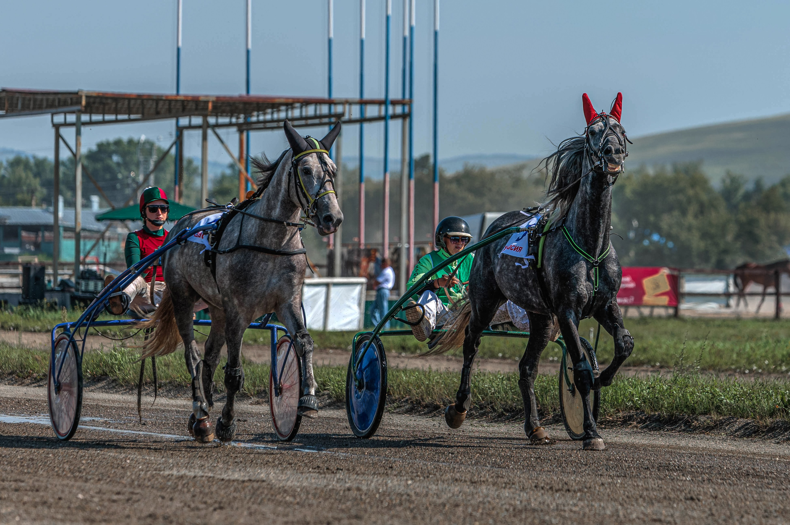 Зарисовки Абаканский ипподром 2025. Конный фотограф в Красноярске — Любовь Похабова