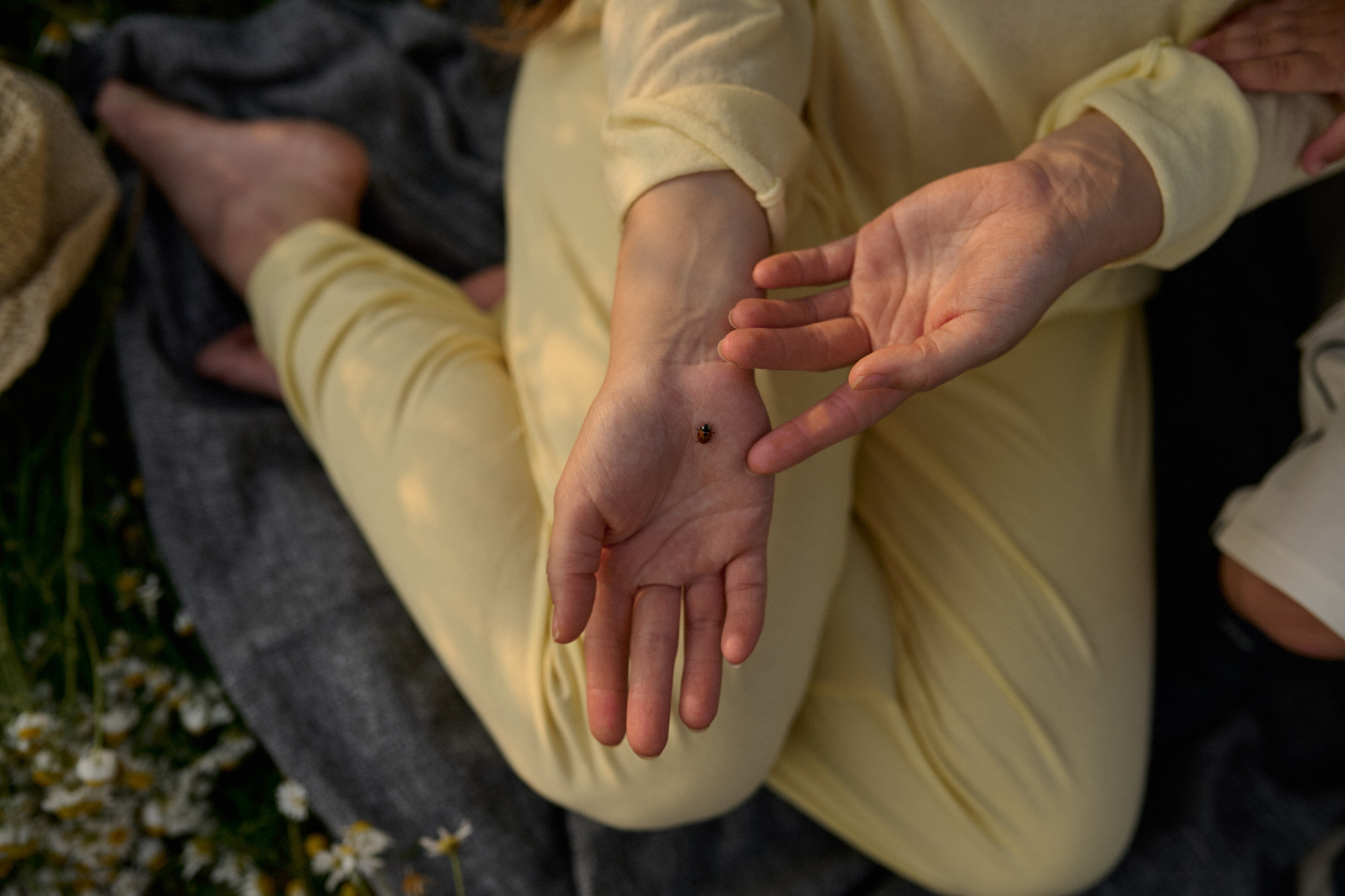 Рома, Оля, Максим и ромашки. Семейный и свадебный lifestyle-фотограф в Москве Мария Петрова