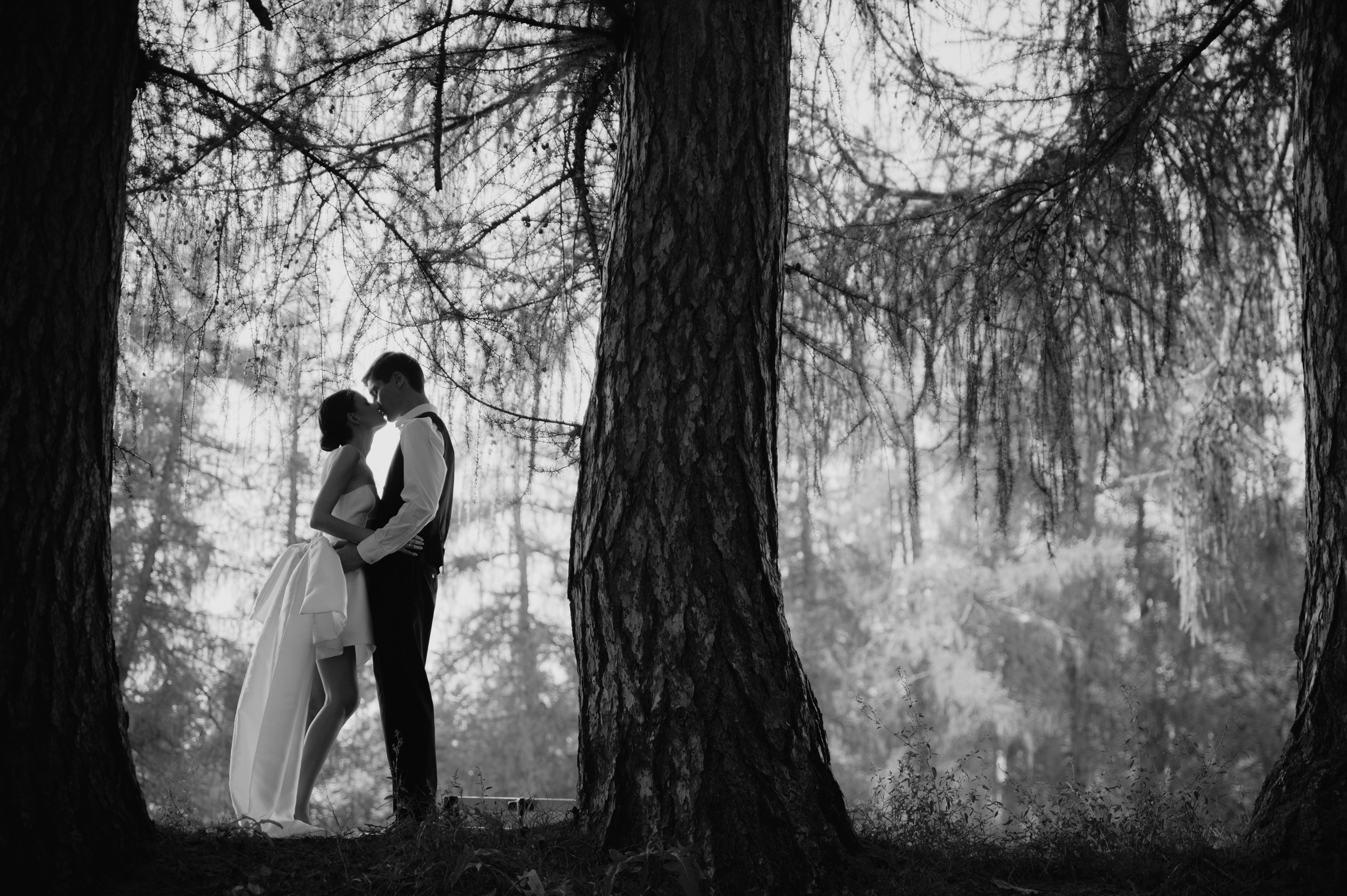 Алёна и Александр. Свадебный и портретный фотограф в Москве Жердев Даниил