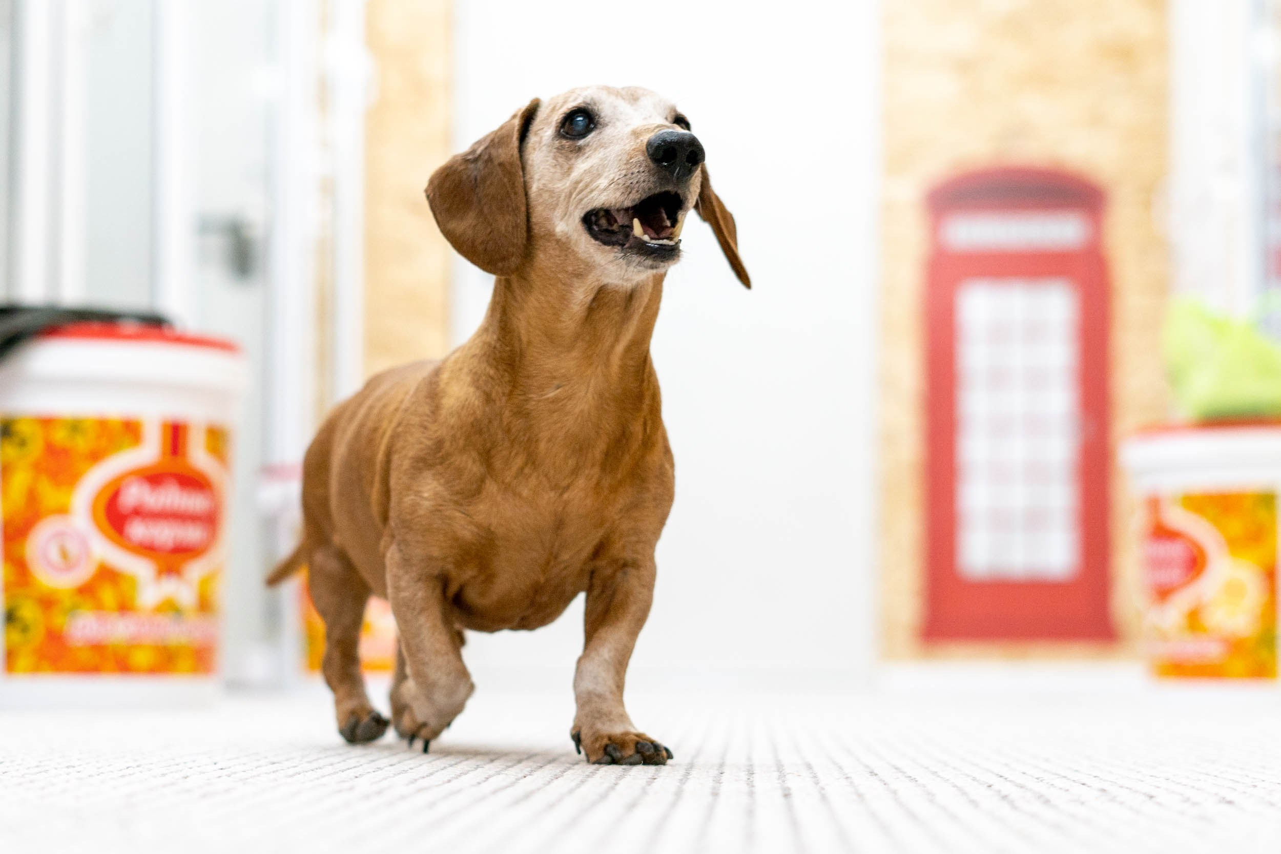 Гостиница. Фотограф Екатерина Зорина