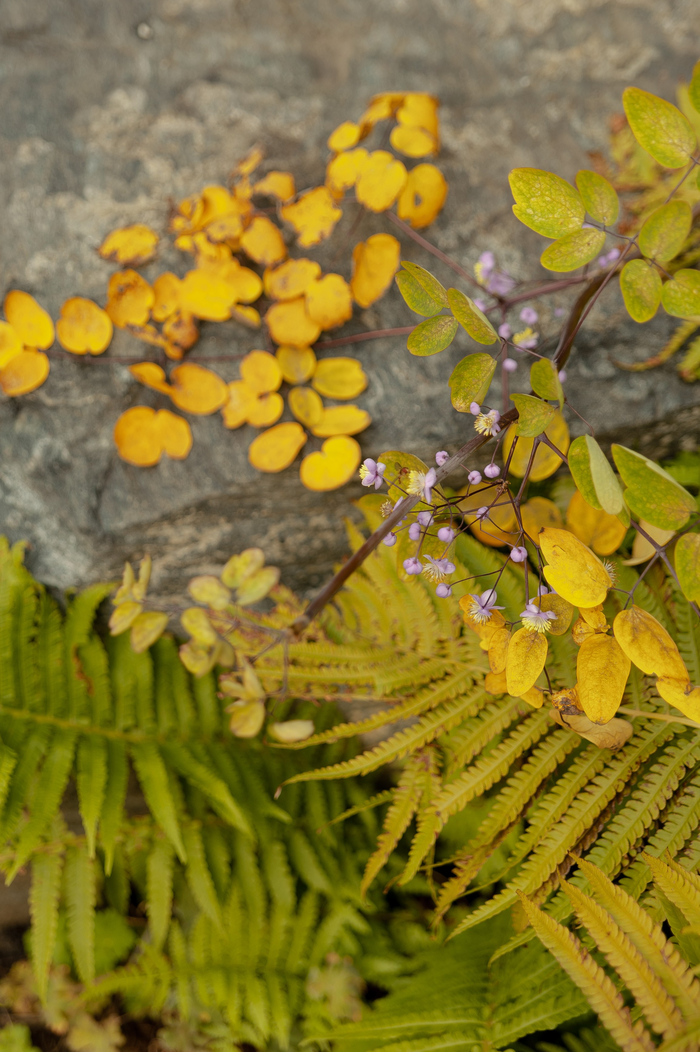 Максим и Геля. Фотограф в Екатеринбурге Артём Зайнетдинов