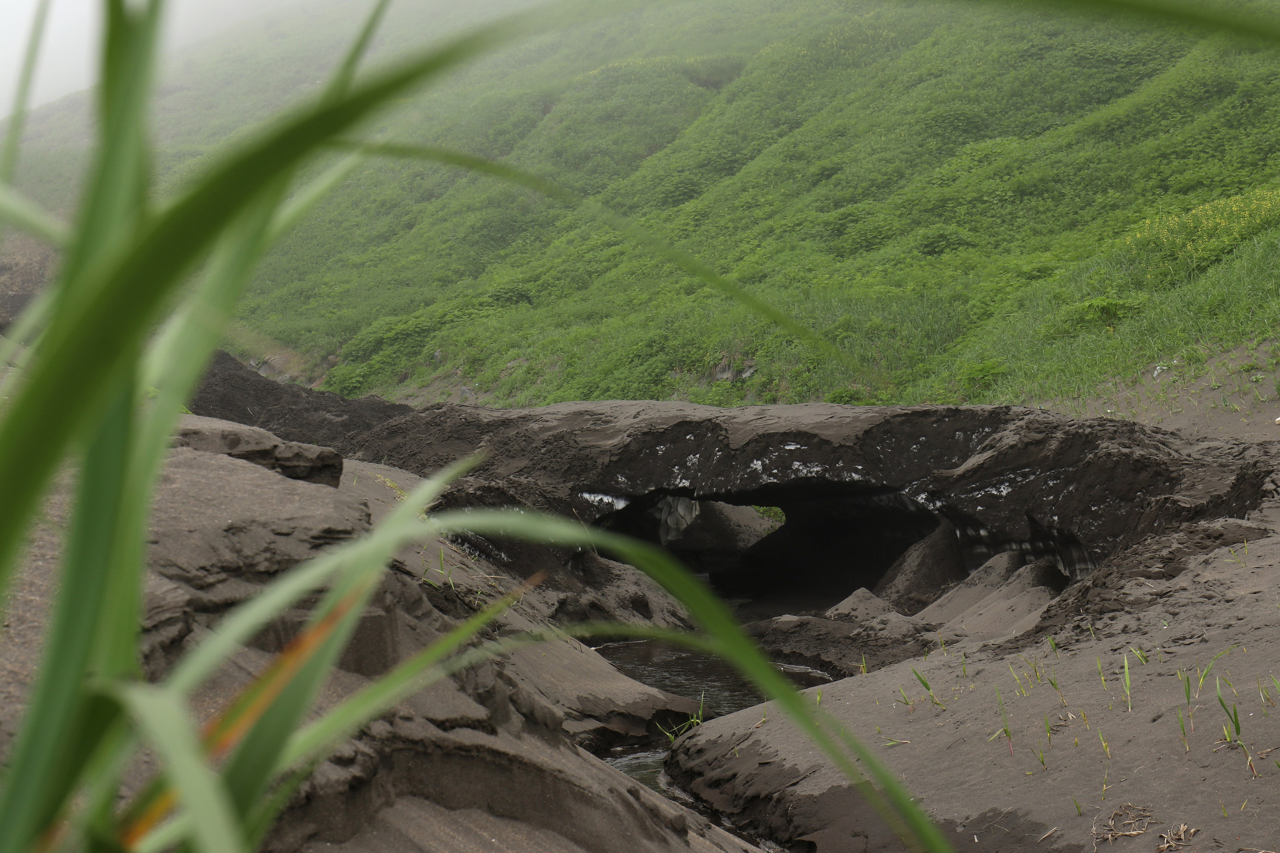 Камчатка и о. Парамушир. Июль 2024. Путешественник-фотограф из Санкт-Петербурга Татьяна Свистулина