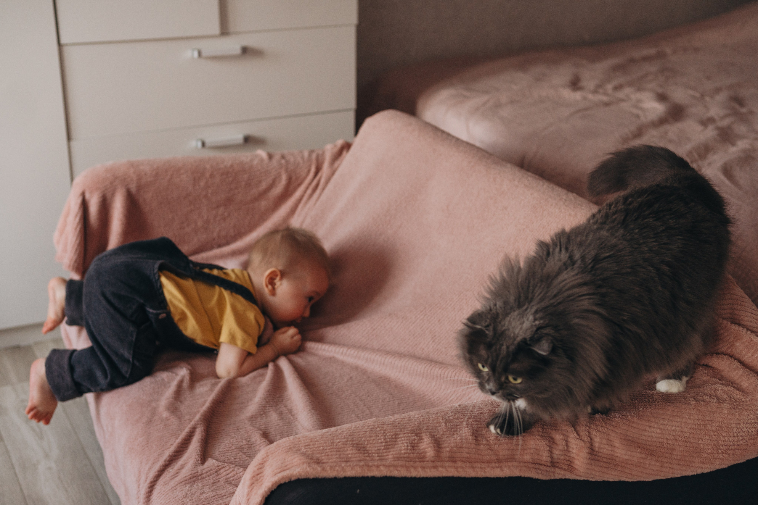 Семейная домашняя серия. Alenasokolowa.ru