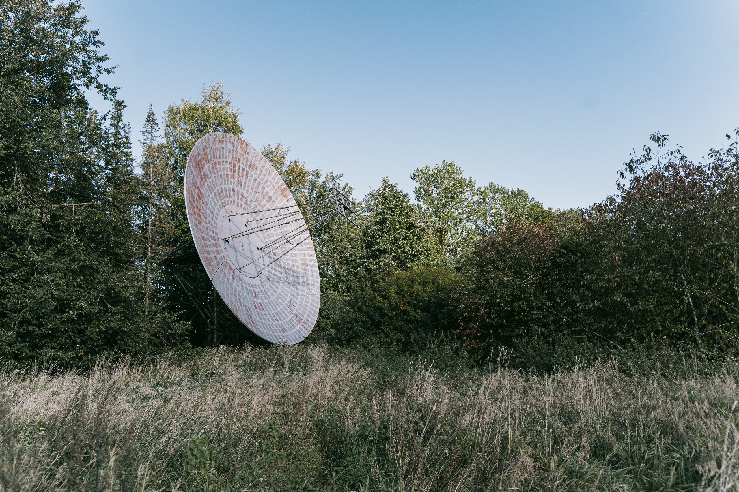 Фотографии. Ксения Доможилова