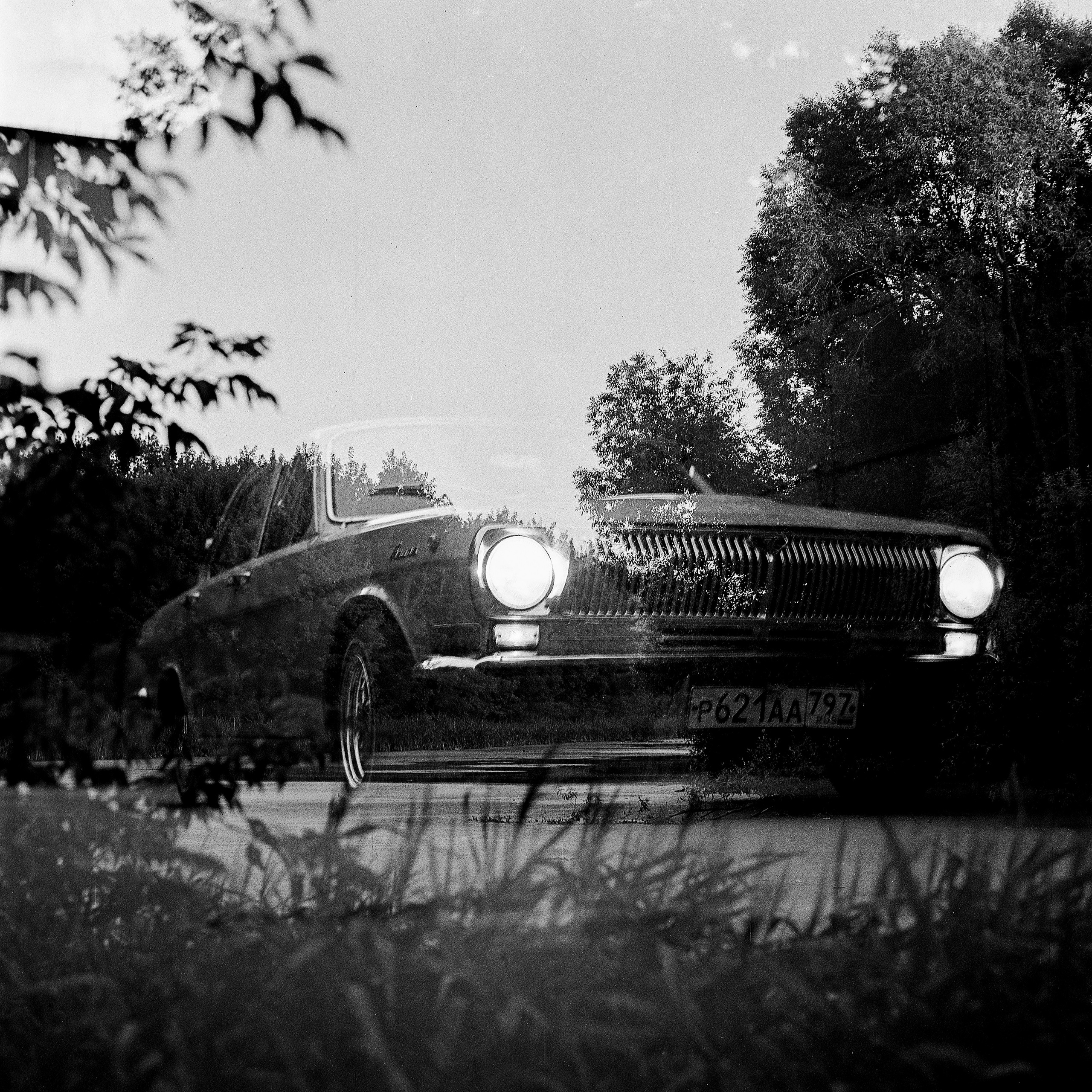 Автор: Серёжа Цюцюра