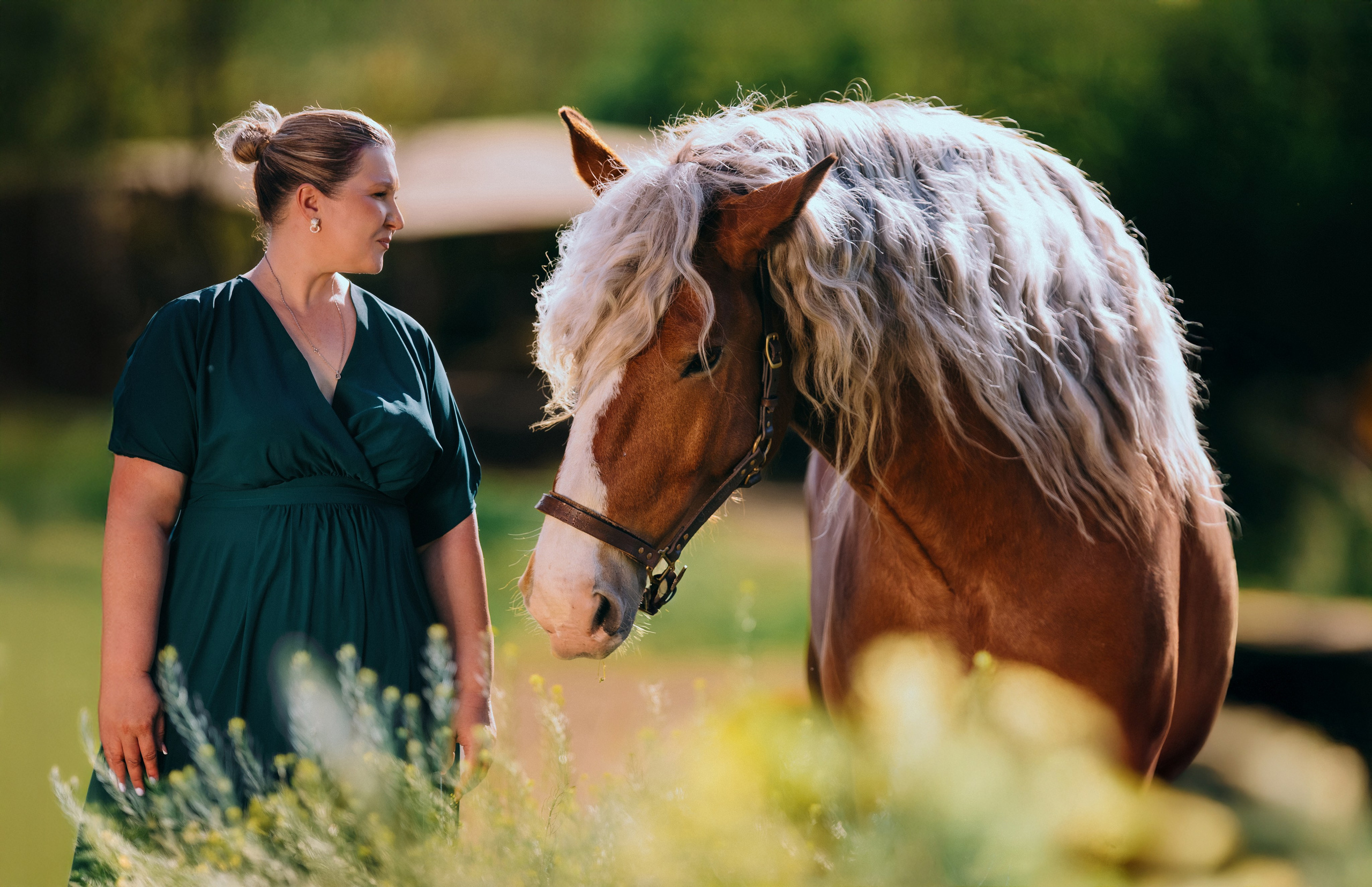 Маша и Боксер. Фотограф-анималист Ксендзова Кристина