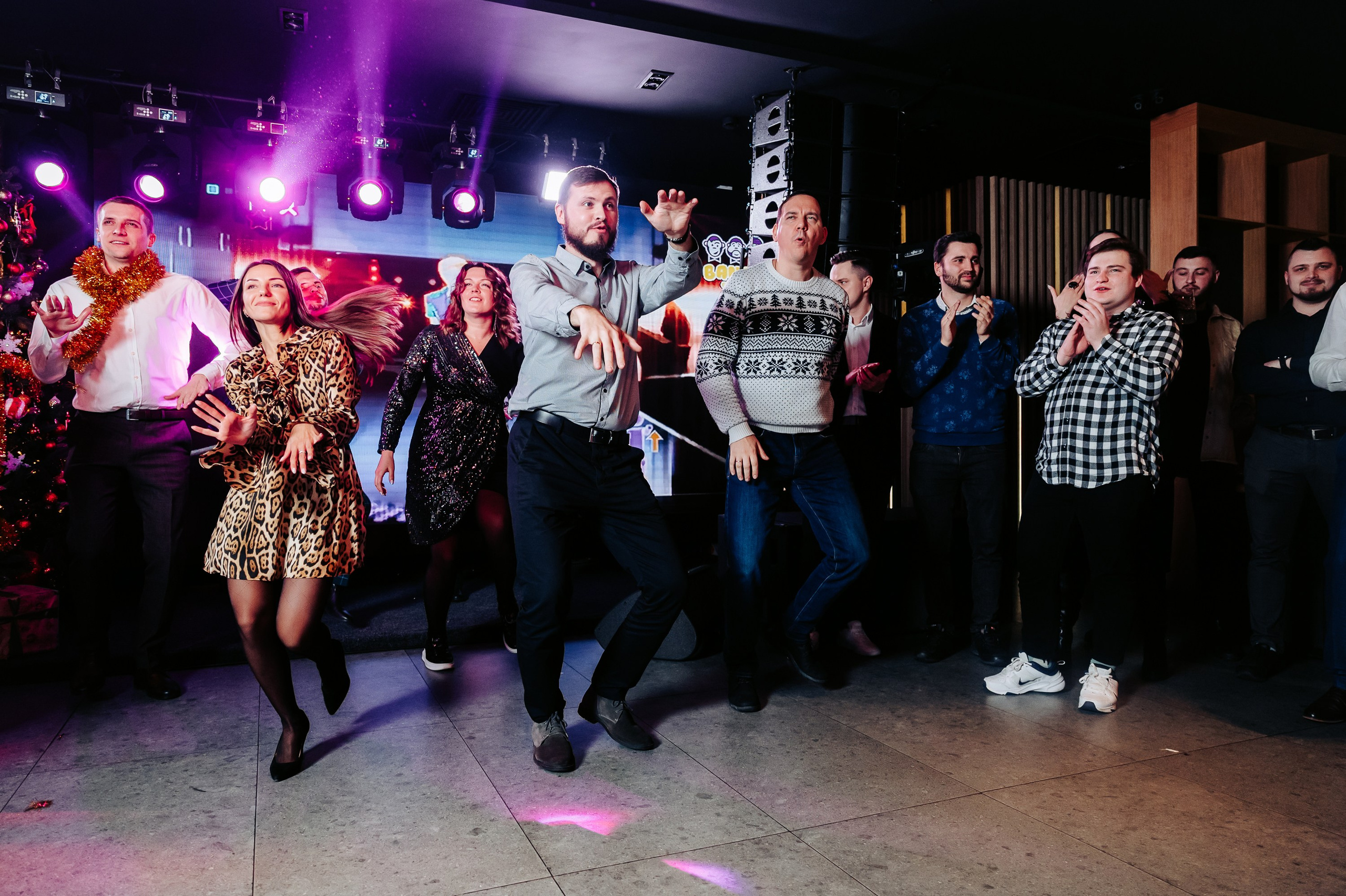 Новогодний корпоратив в караоке баре. Фотограф Дмитрий Сермяжко