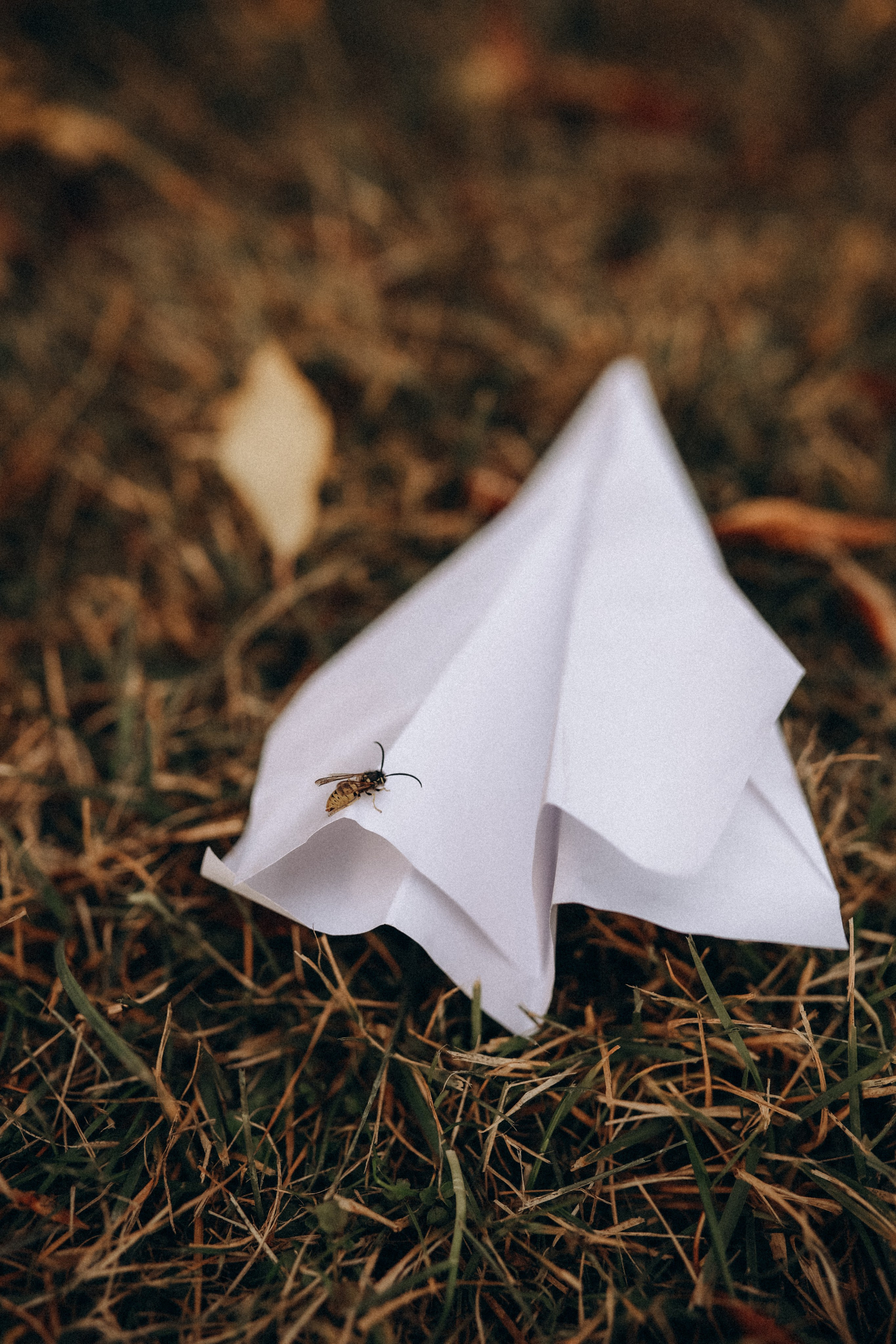 Семейная прогулочная фотопрогулка Светы и ее семьи. Семейный фотограф в Москве и Люберцах Юлия Гуськова