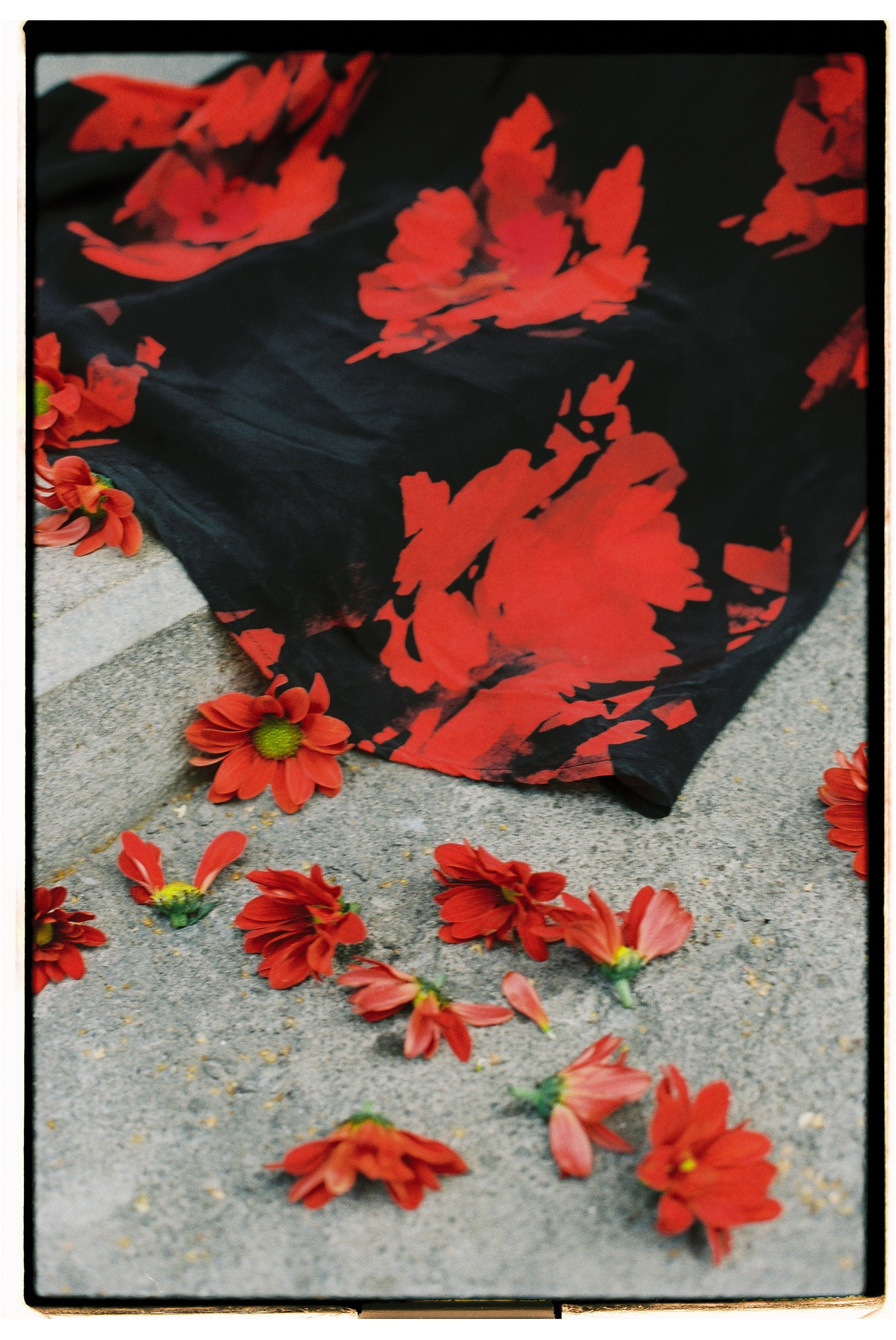 № 5. Продюсер фото и видео контента