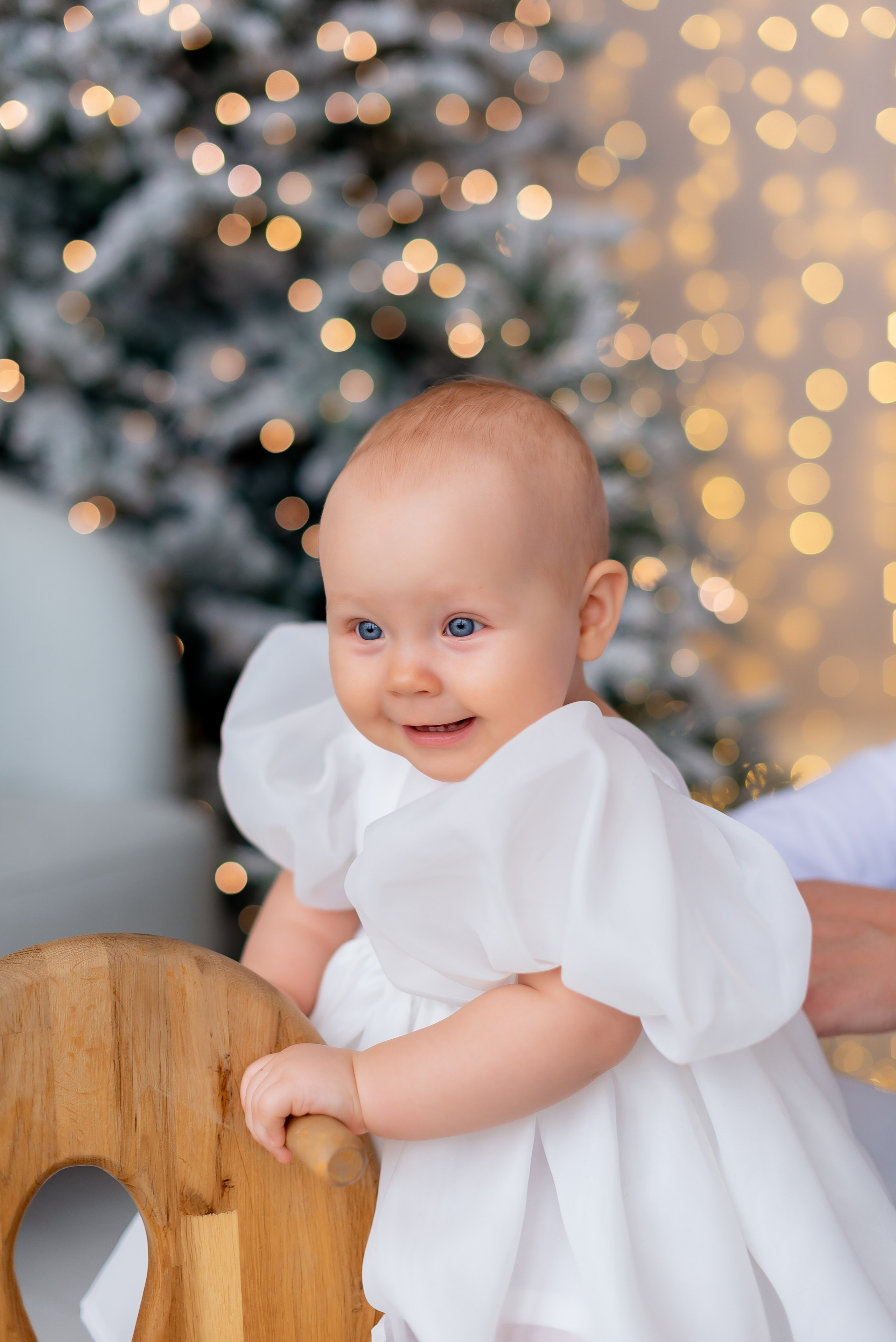 Новогодняя студия Скандибек. Фотограф Татьяна Иванчикова