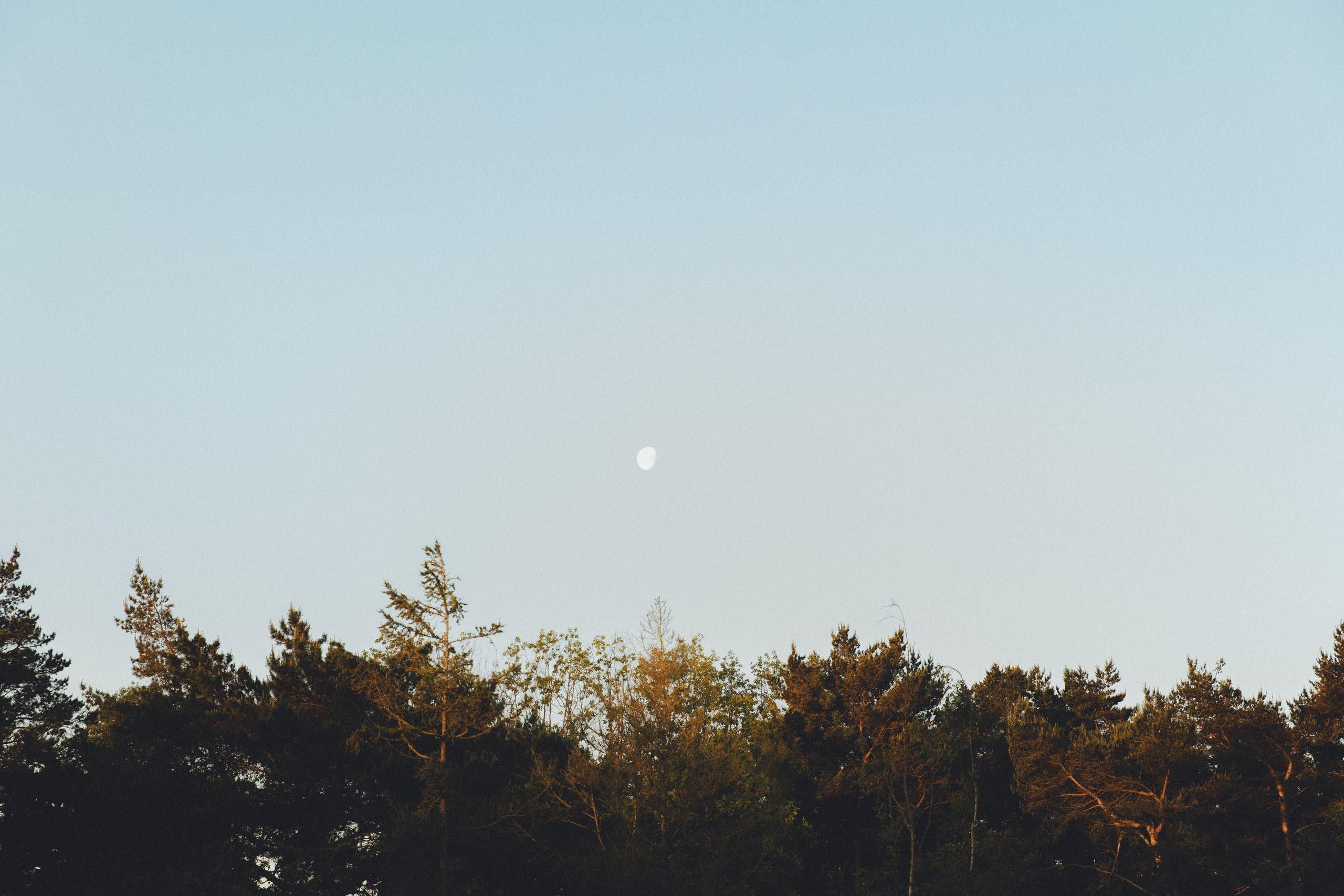 Лав стори / Малиновка. Фотограф Калининград Илья Миллер