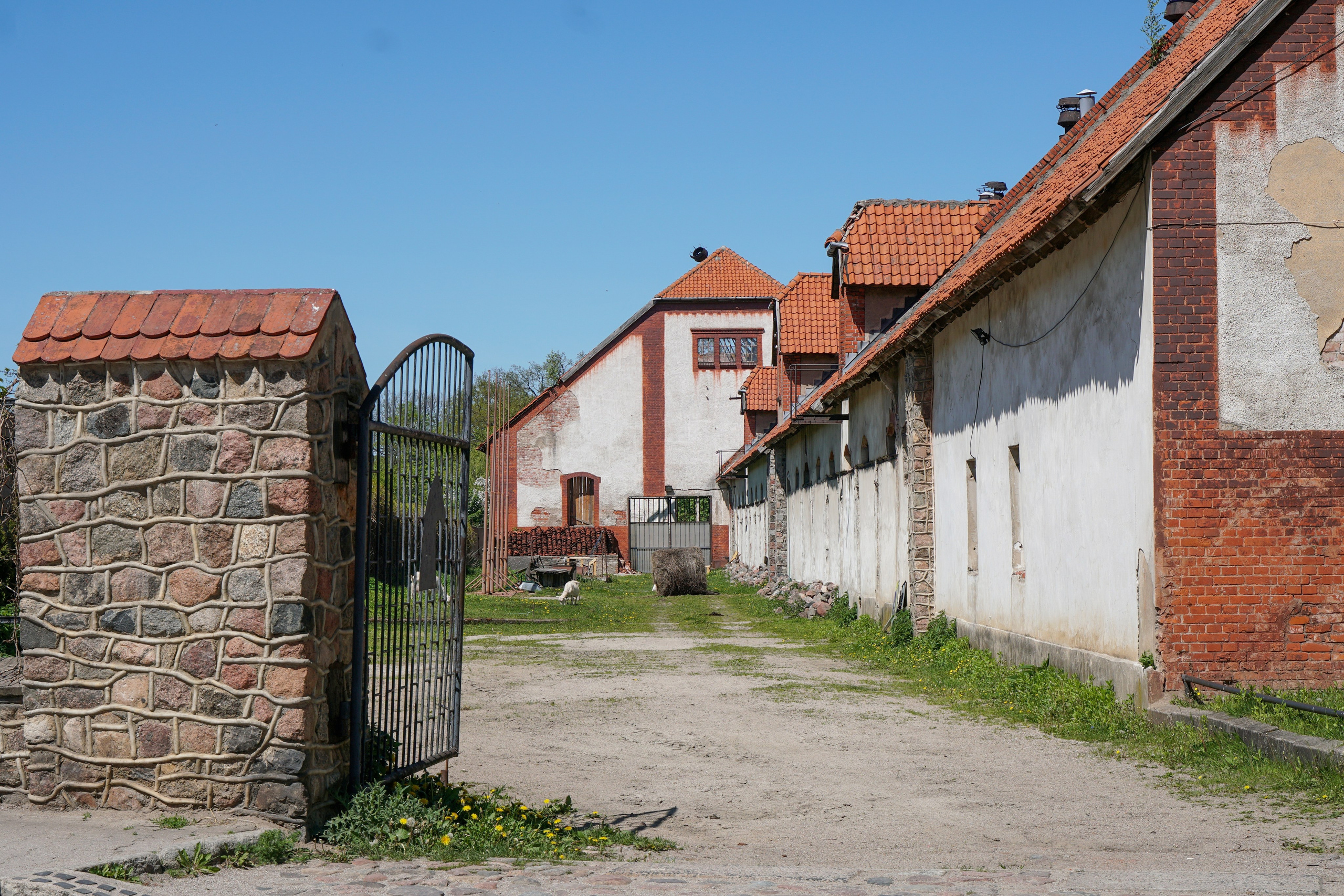 СОВЕТСК, ЧЕРНЯХОВСК. Фотограф Наталья Погодина в г. Обнинске