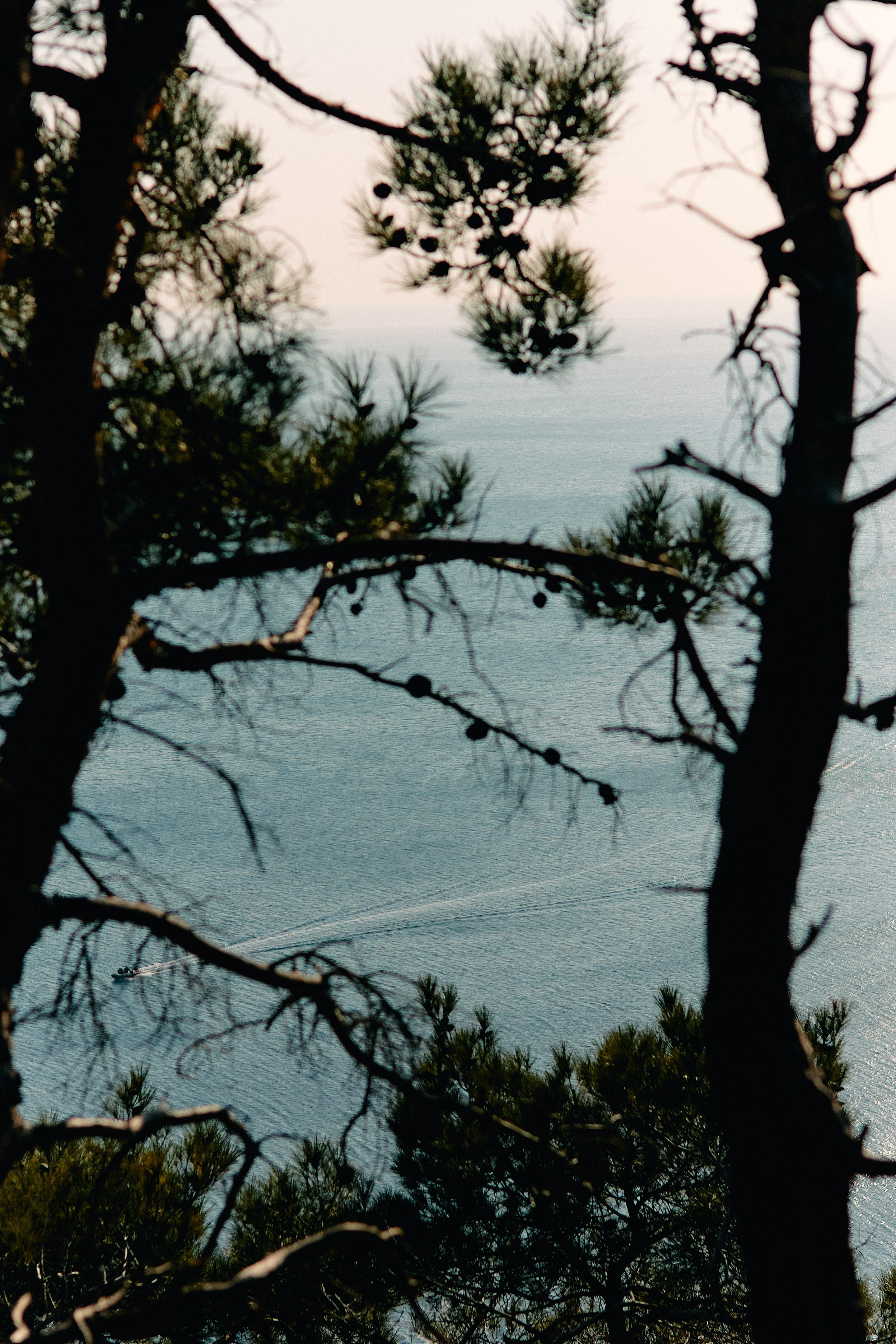 Юг России. Профессиональный Фотограф во Владимире, в Москве и в Суздале — Полина Романычева