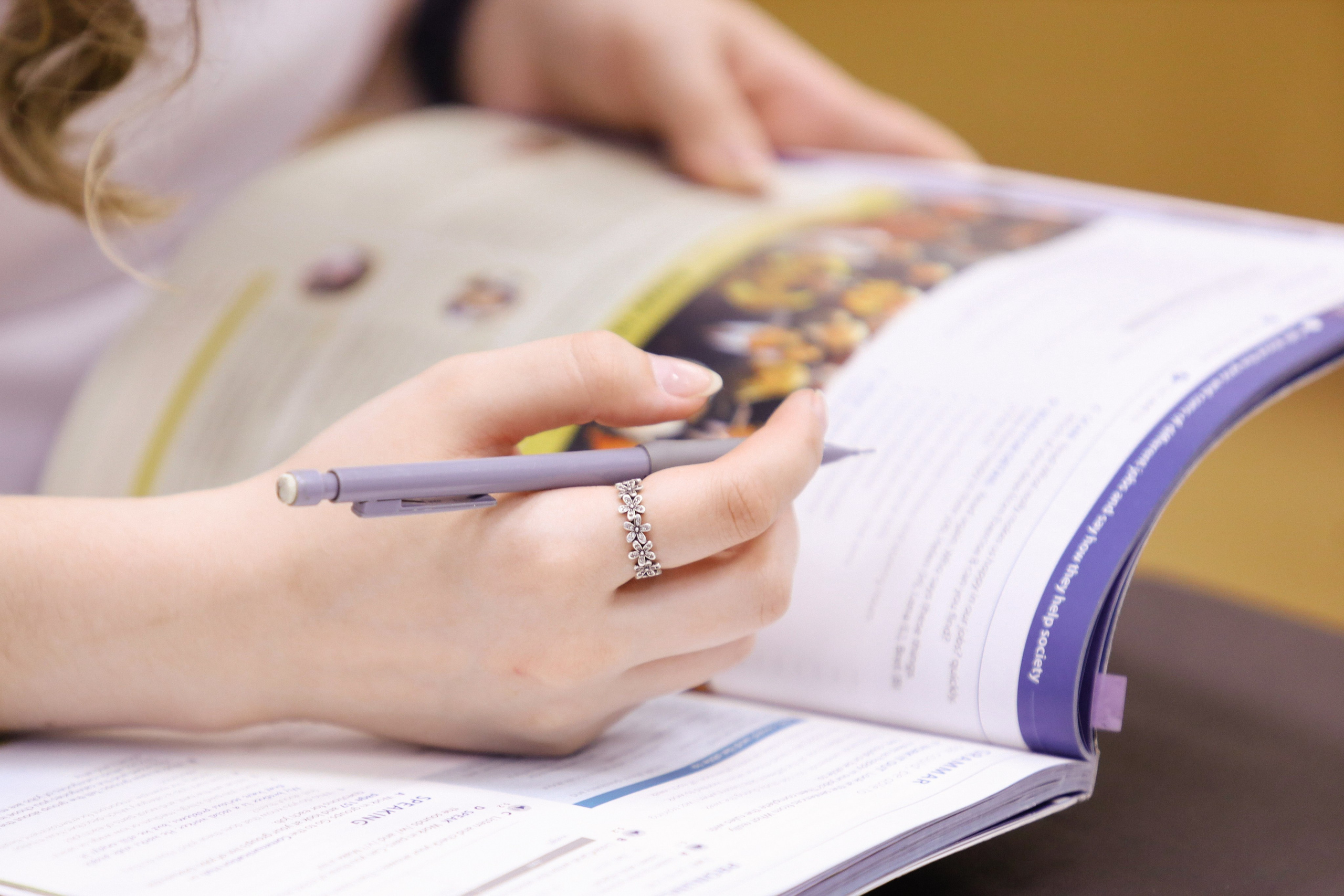 Занятия в Deutsch-Klub и d.English