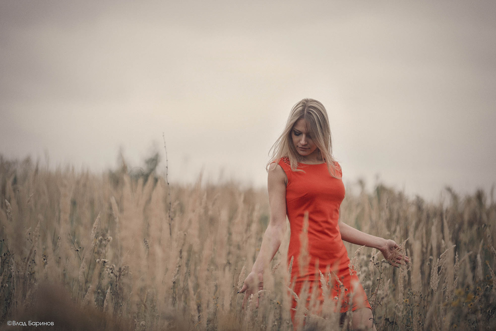 Фотосессия для пары в поле