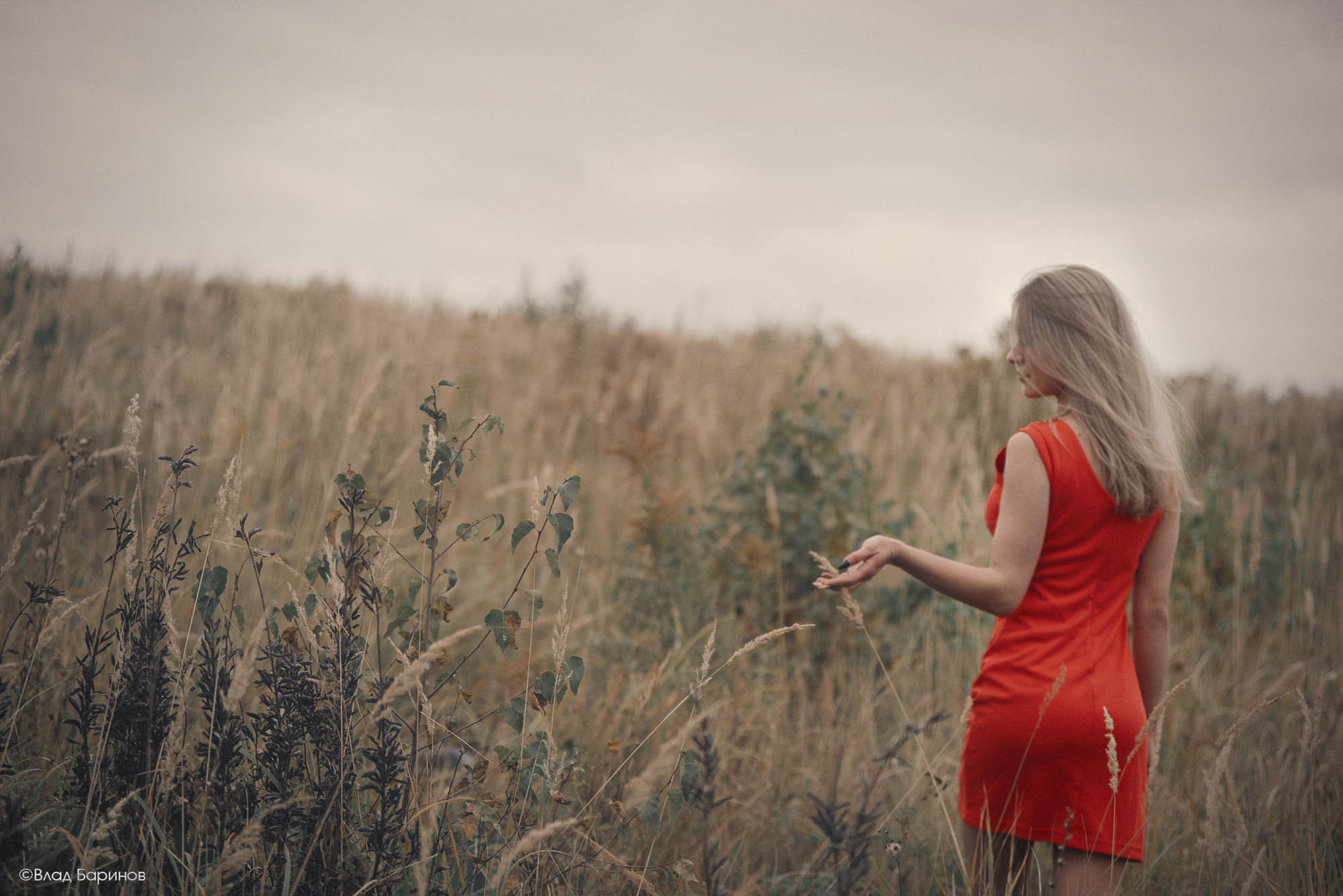 Фотосессия для пары в поле