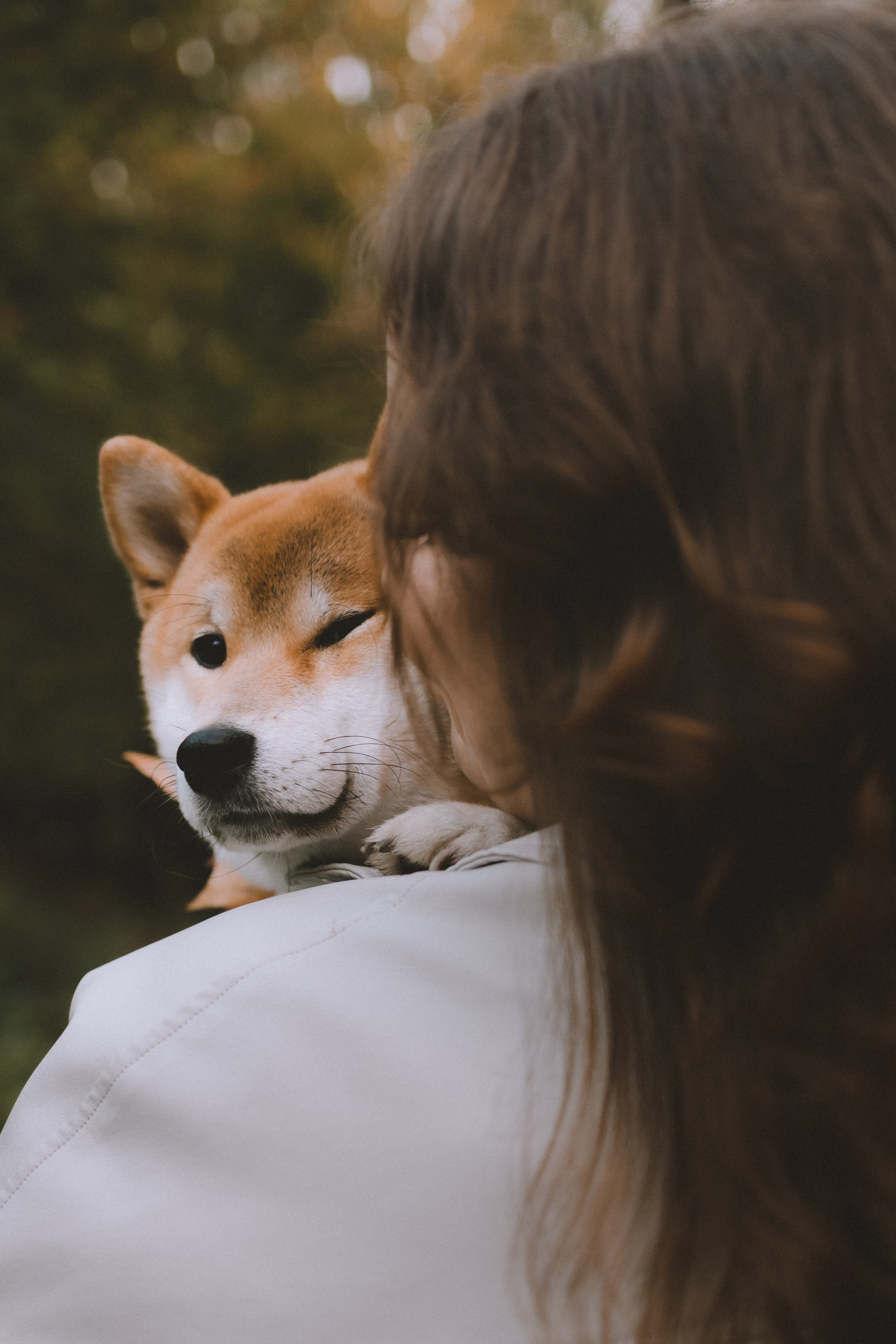 Фотосессия с собакой в осеннем Дудергофе. Семейный и детский фотограф в Санкт-Петербурге Павлова Елена