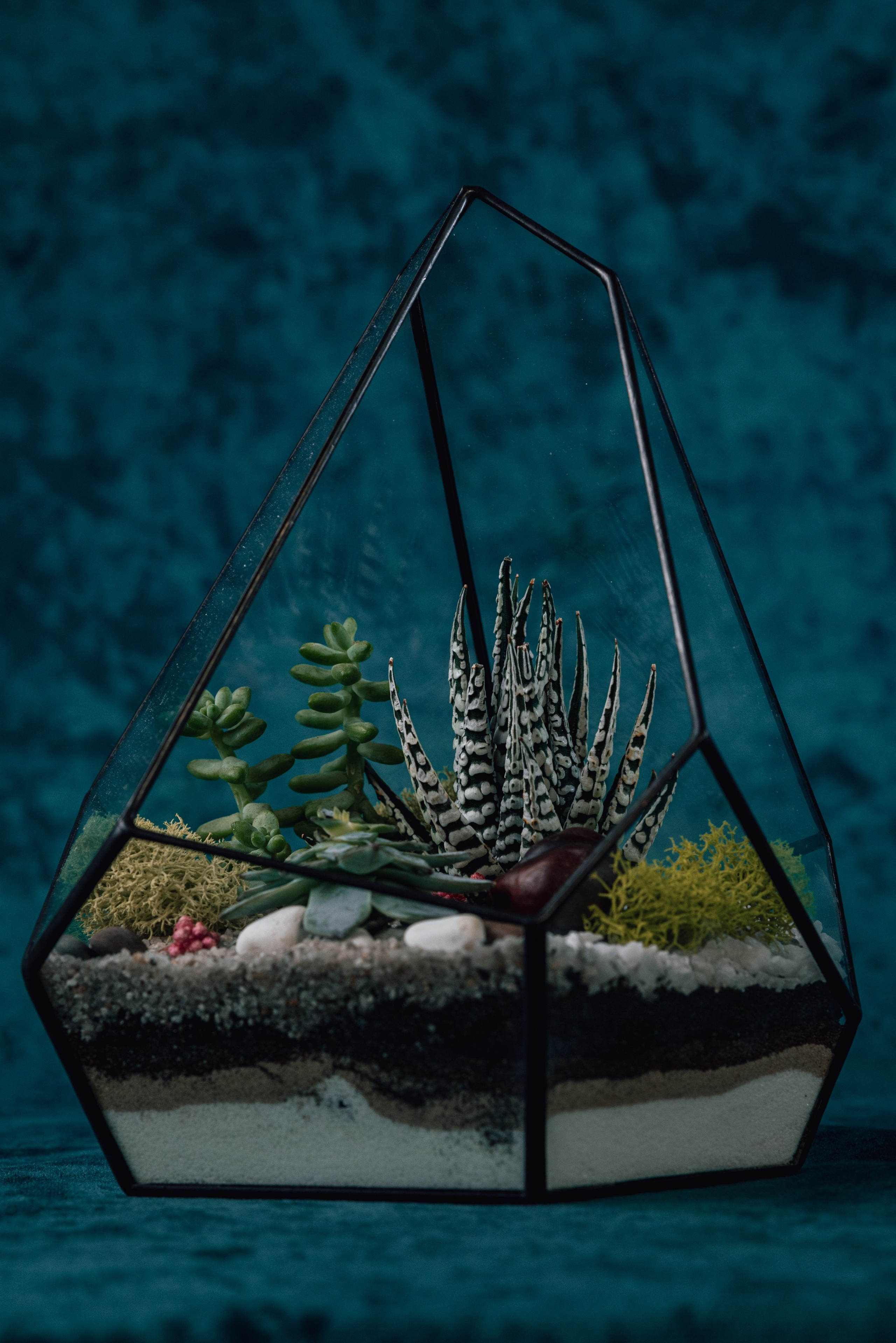 Контент-съемка для флориста. Фотограф Екатерина Шишкина. Питкяранта. Карелия