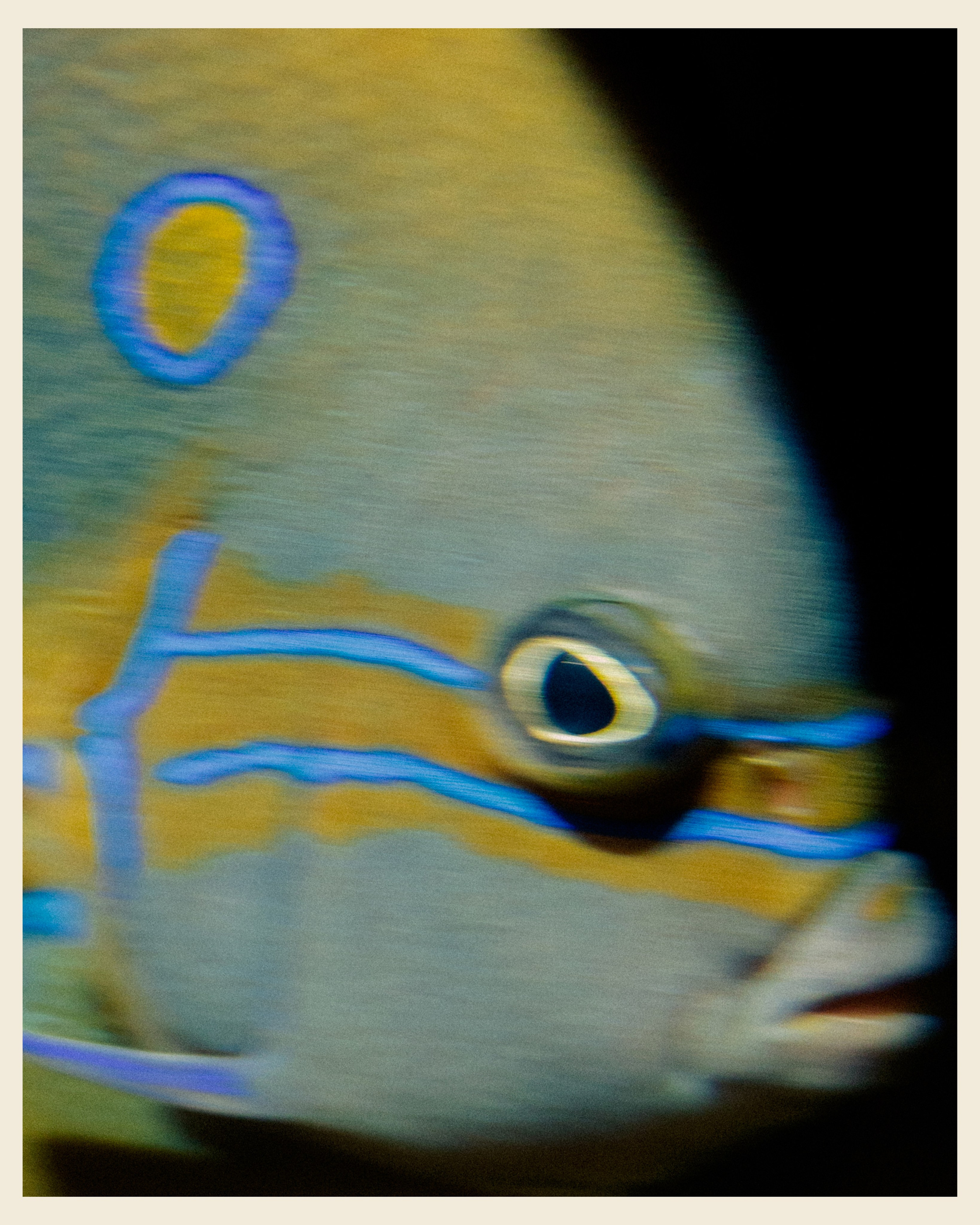 AILAND x VANO. Ivan Petrov photographer