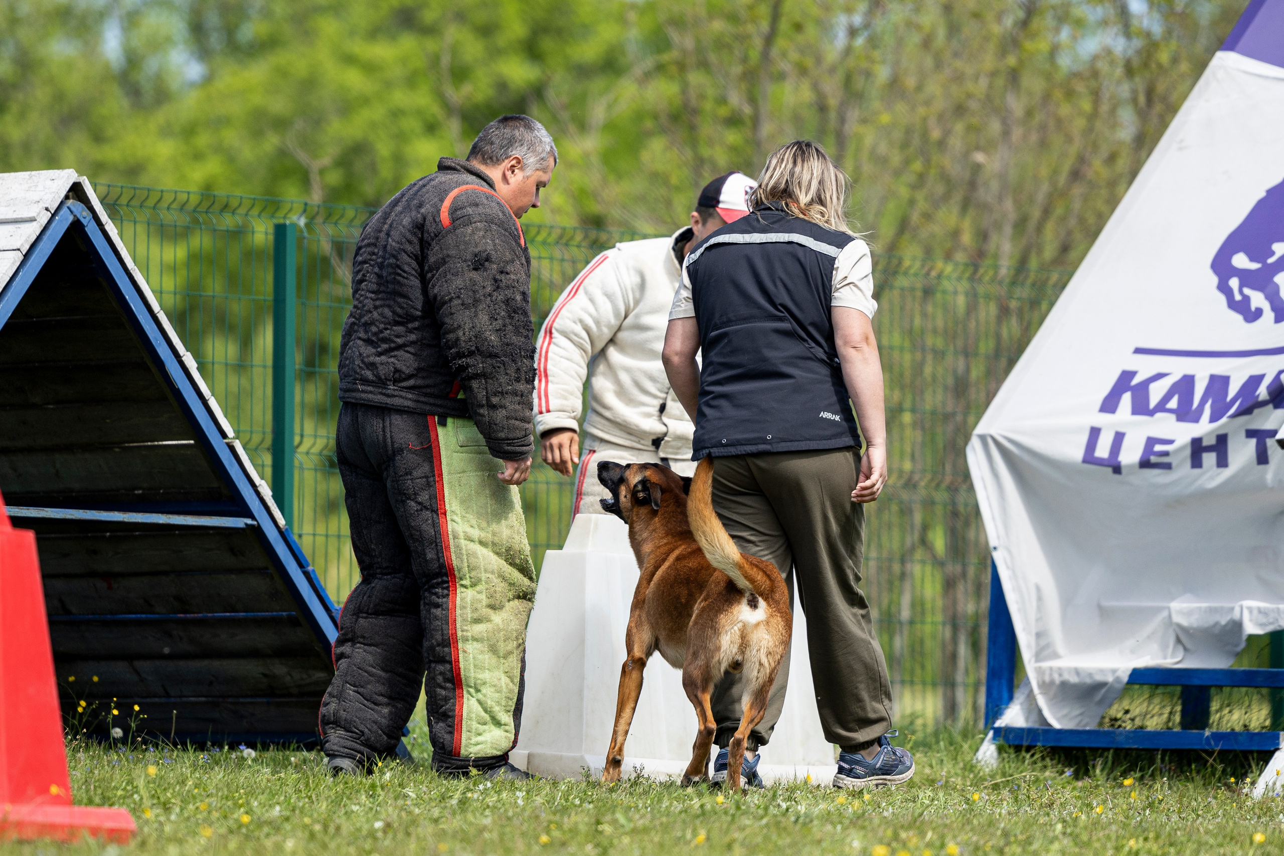 Испытания по мондьорингу в Нижнем Новгороде. Фотограф-анималист Анна Маринич
